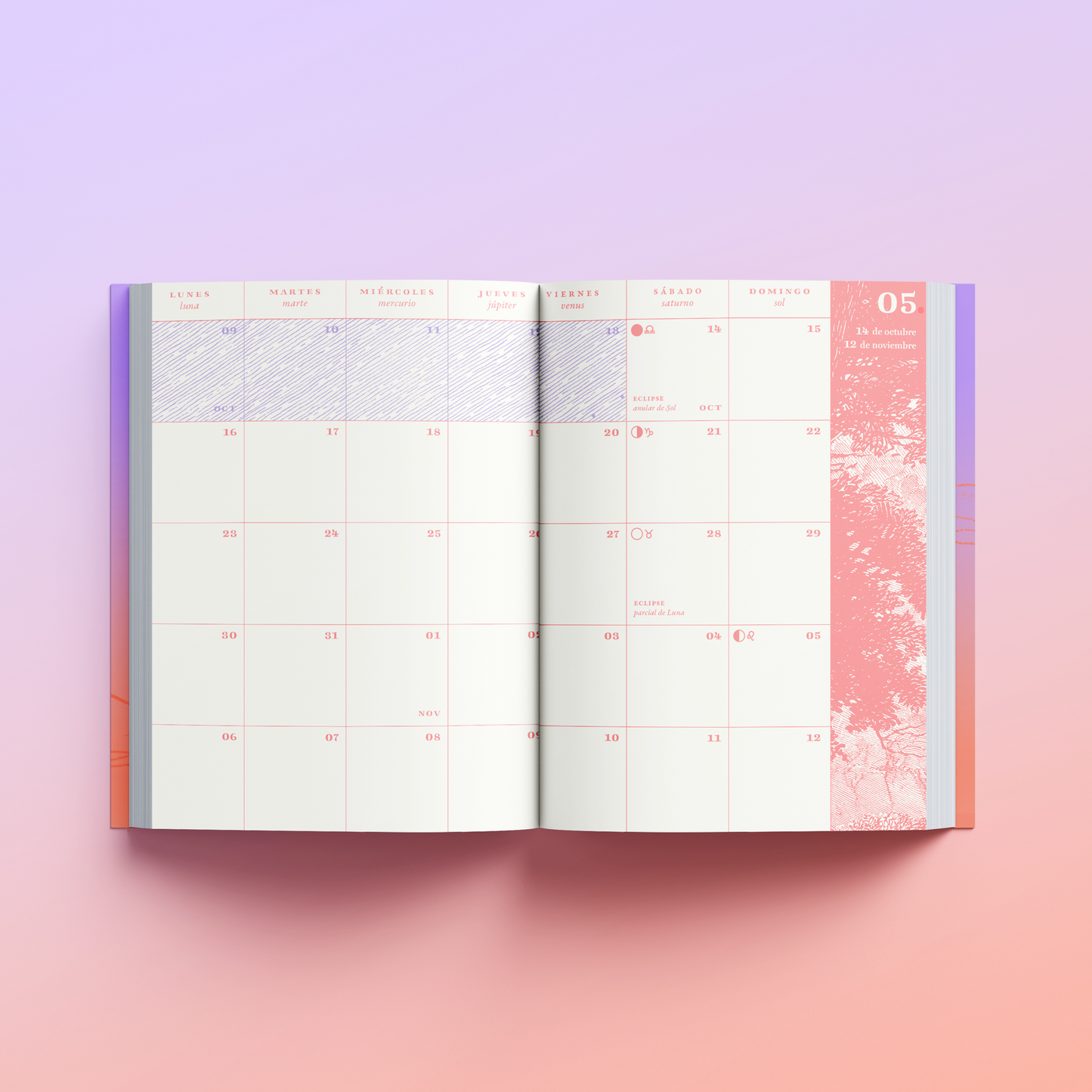 Agenda Lunar del Sur 2023 ~ 2024