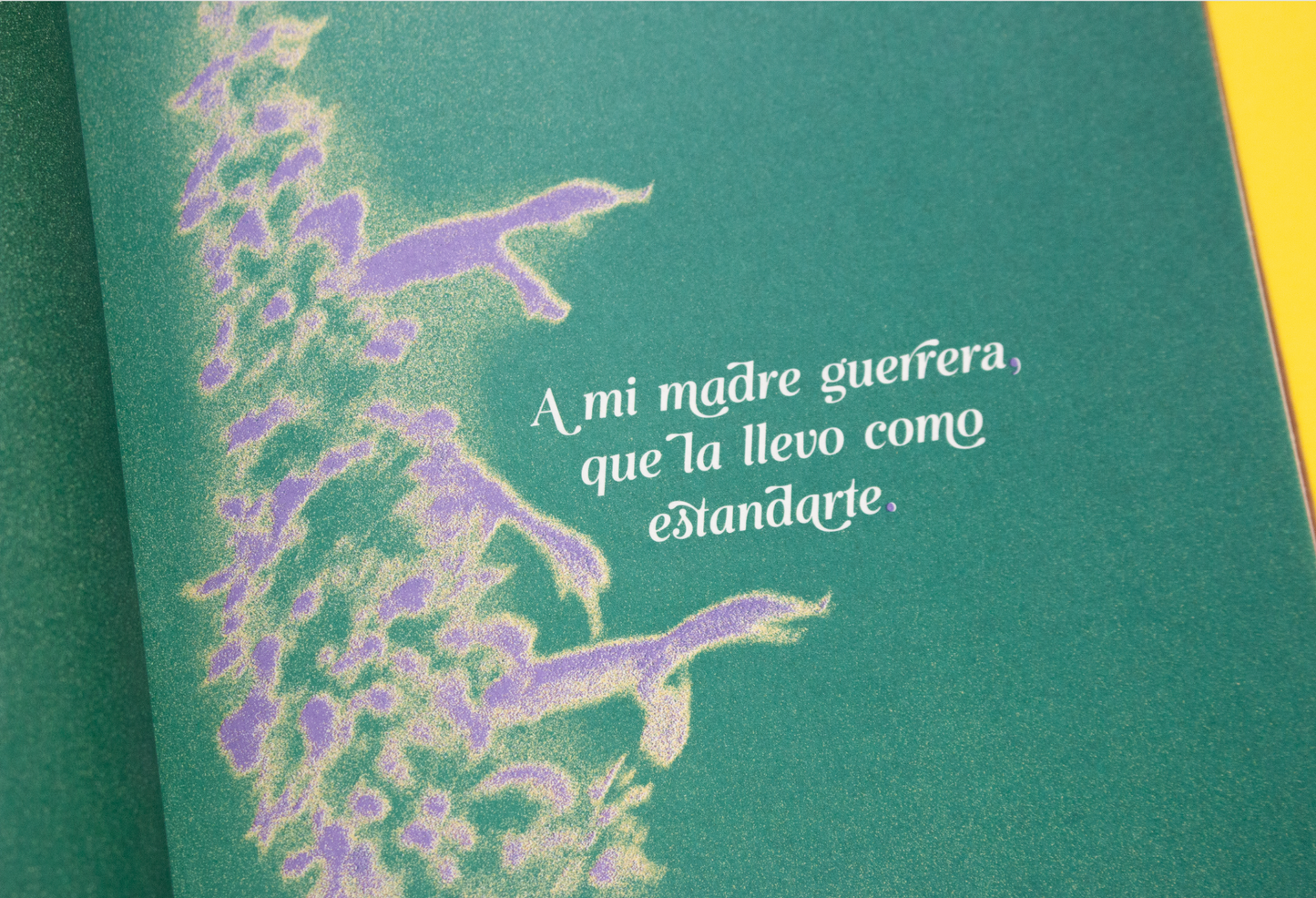 Curanderas