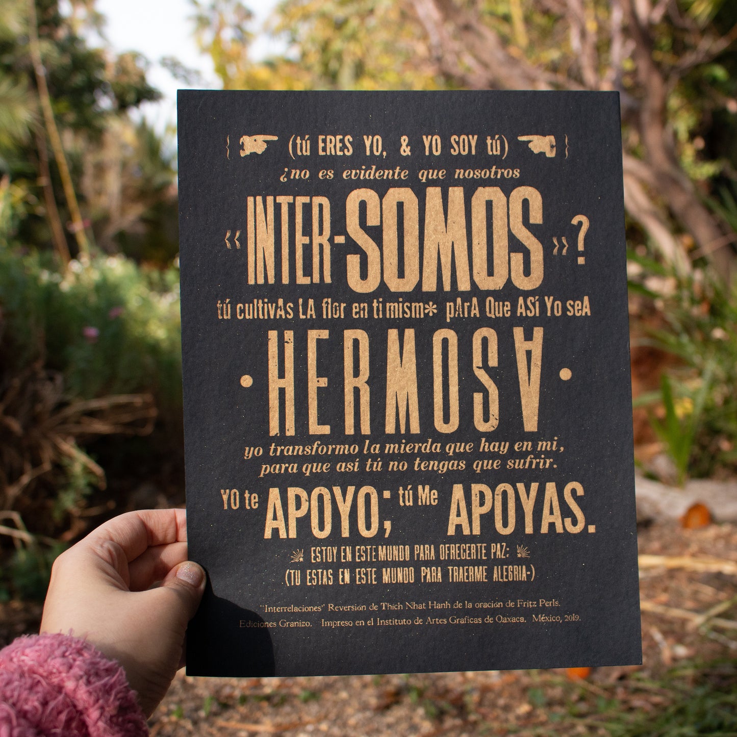 Inter-Somos