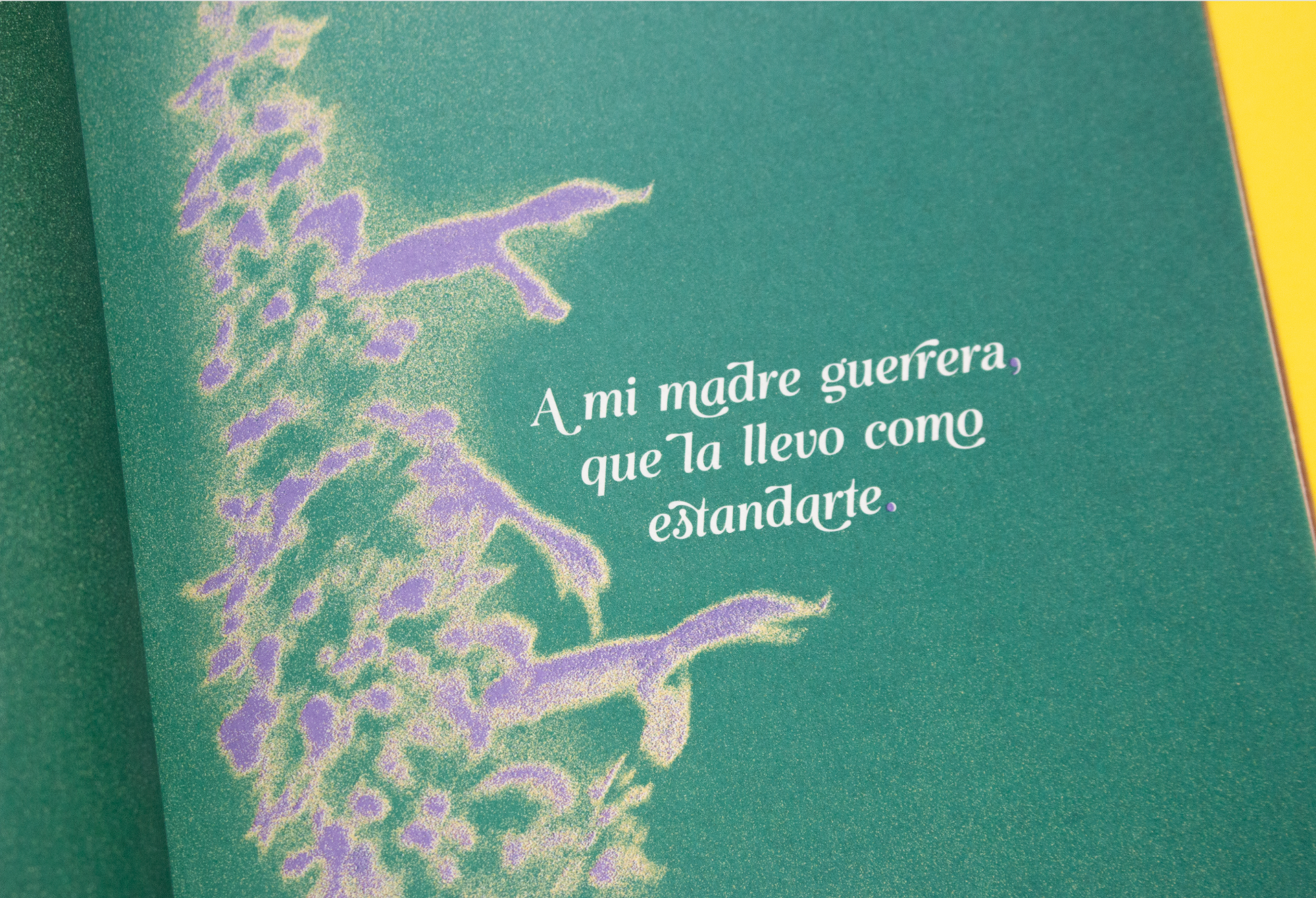 Libro «Curanderas»