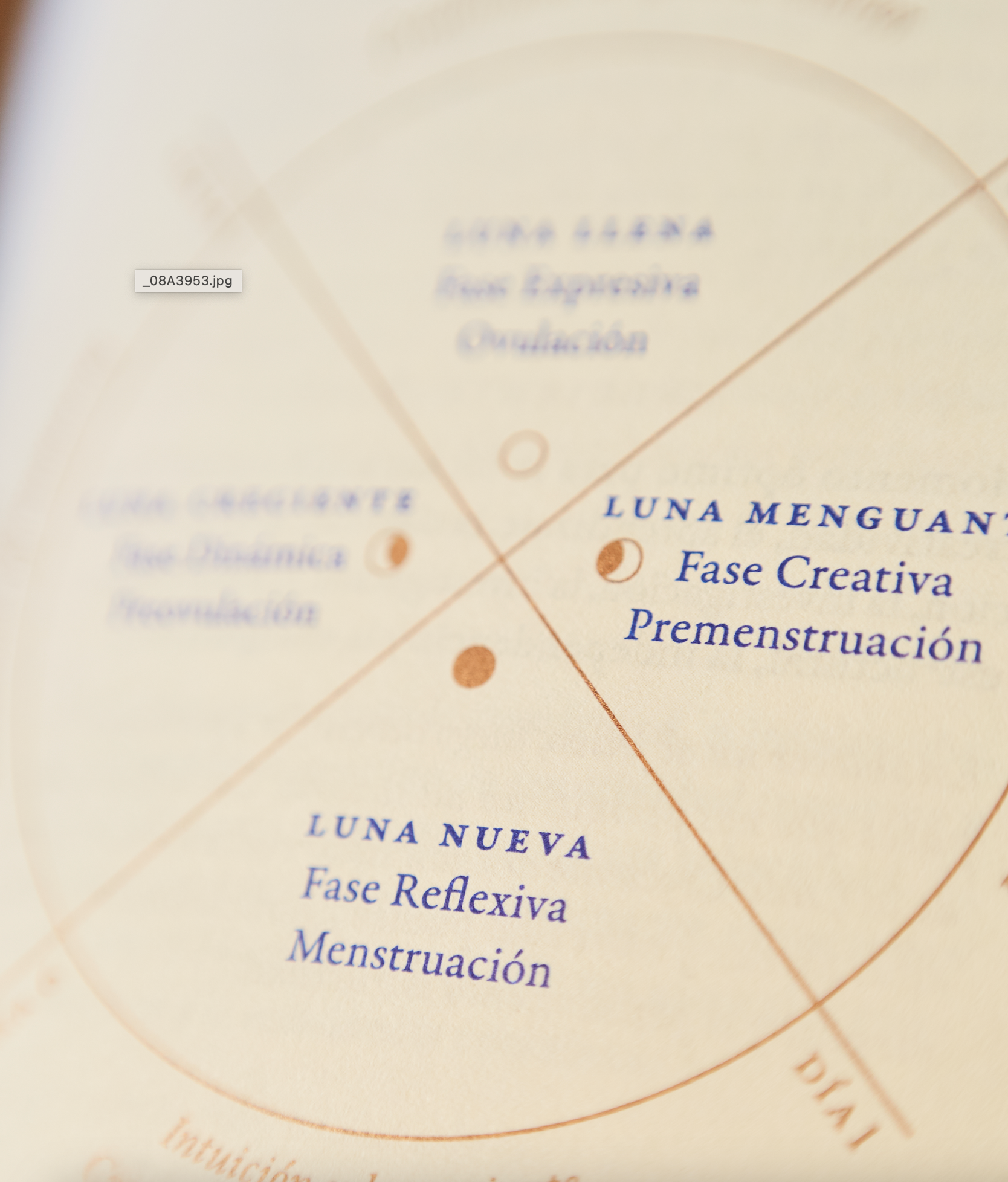 Libro «Influjo lunar»