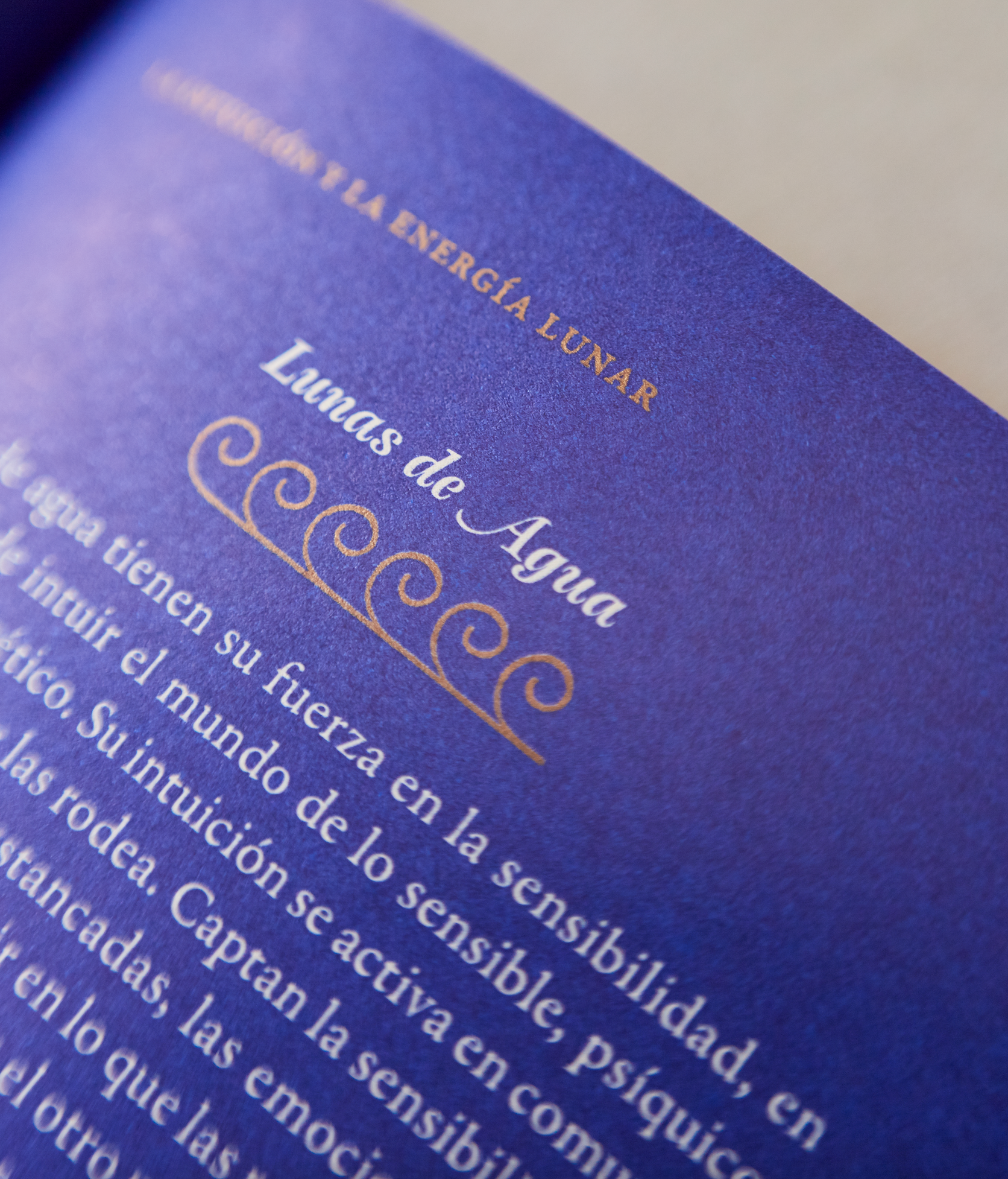 Libro «Influjo lunar»