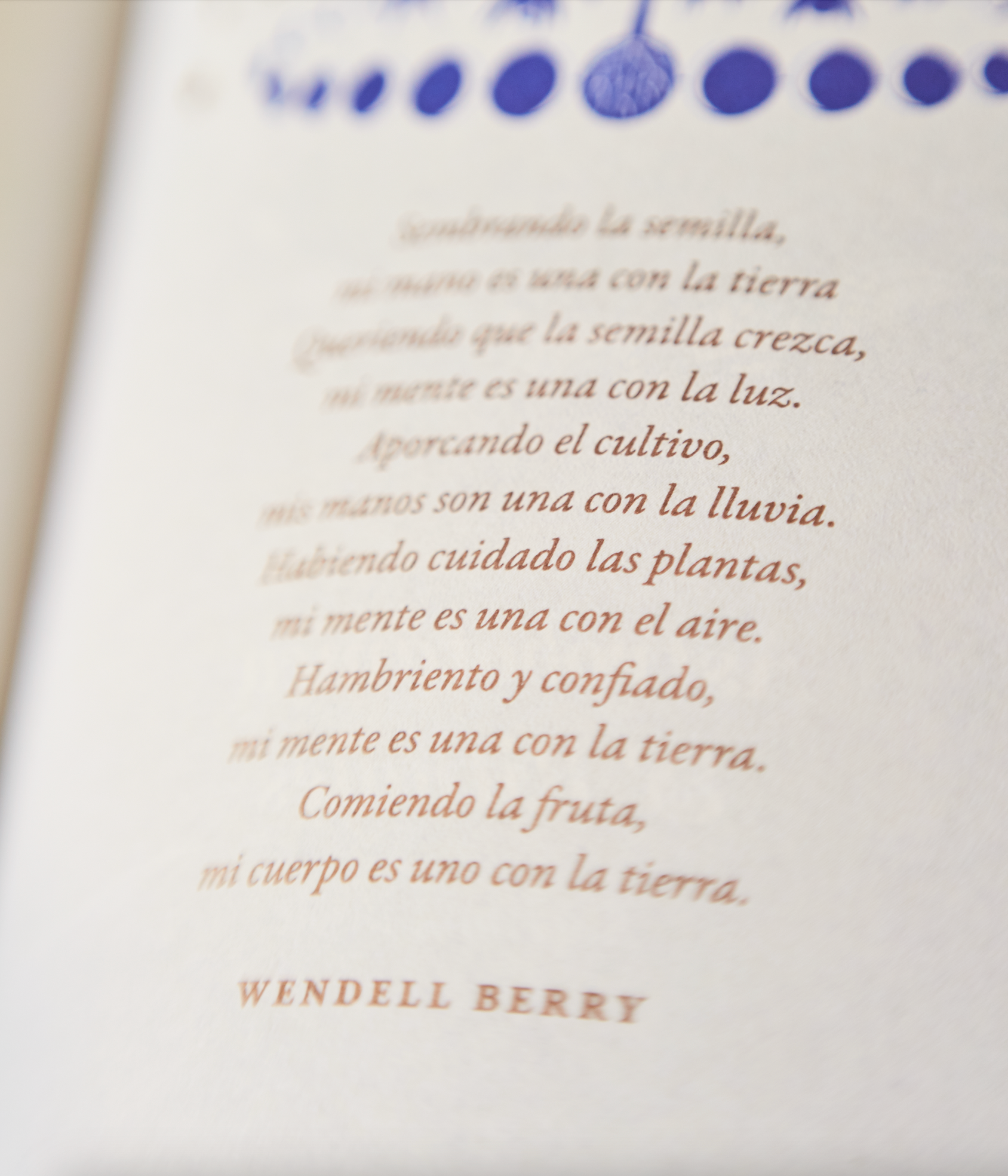 Libro «Influjo lunar»
