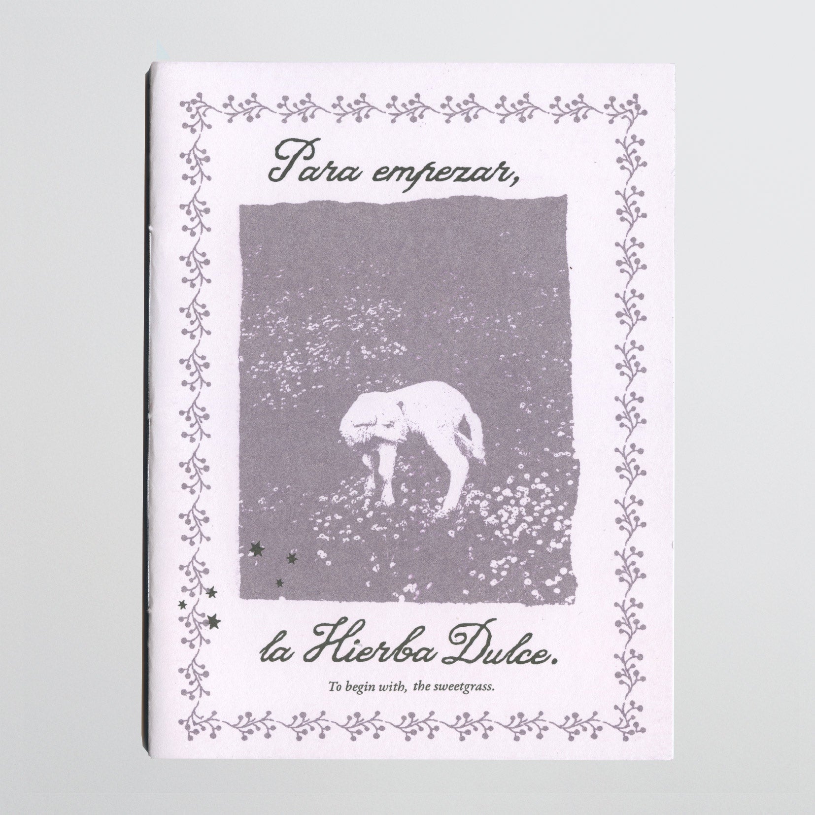 «Para empezar, la hierba dulce» Fanzine