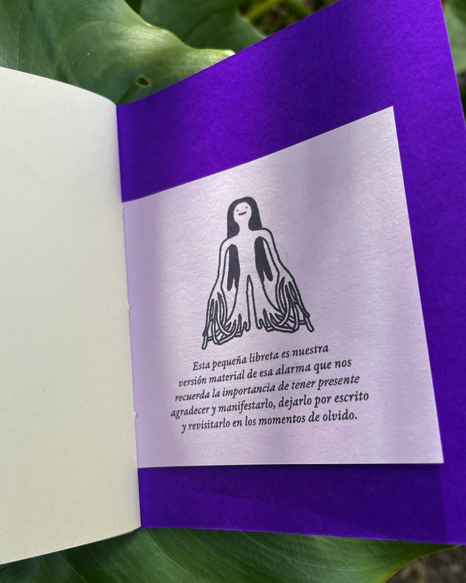 Libreta «Motivos para dar Gracias»