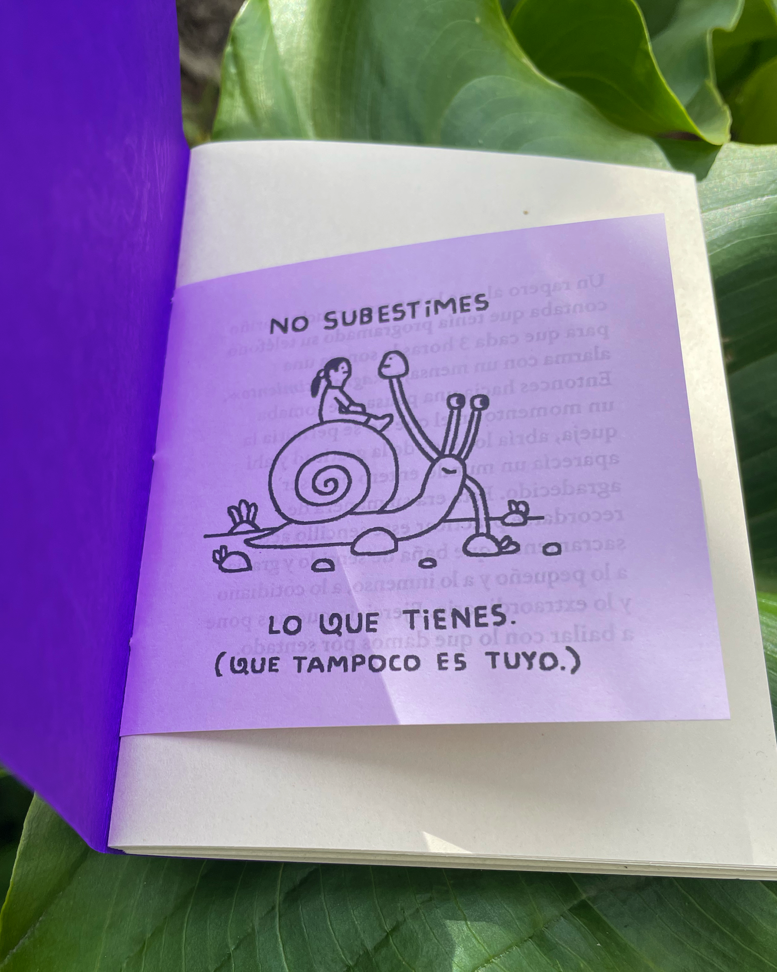 Libreta «Motivos para dar Gracias»