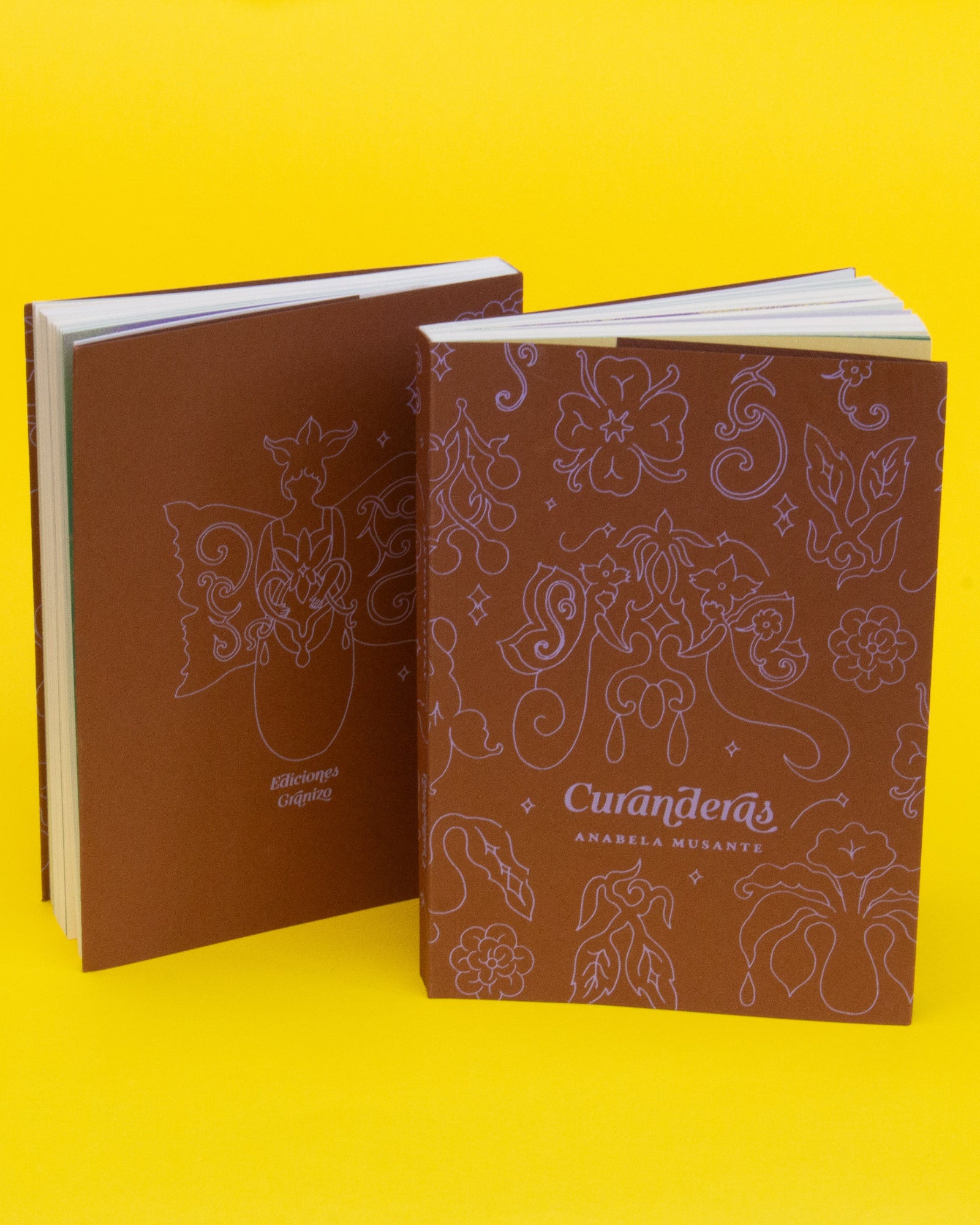 Libro «Curanderas»