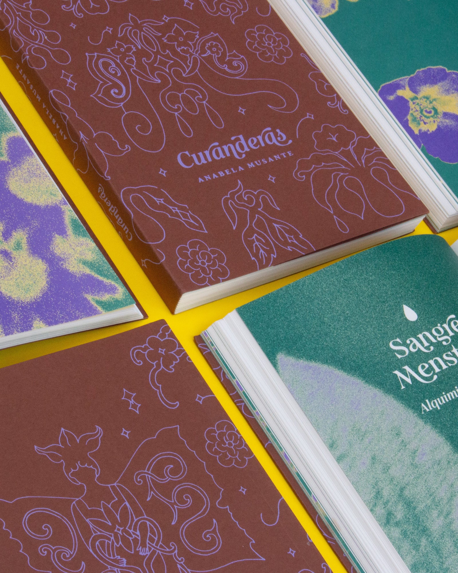 Libro «Curanderas»