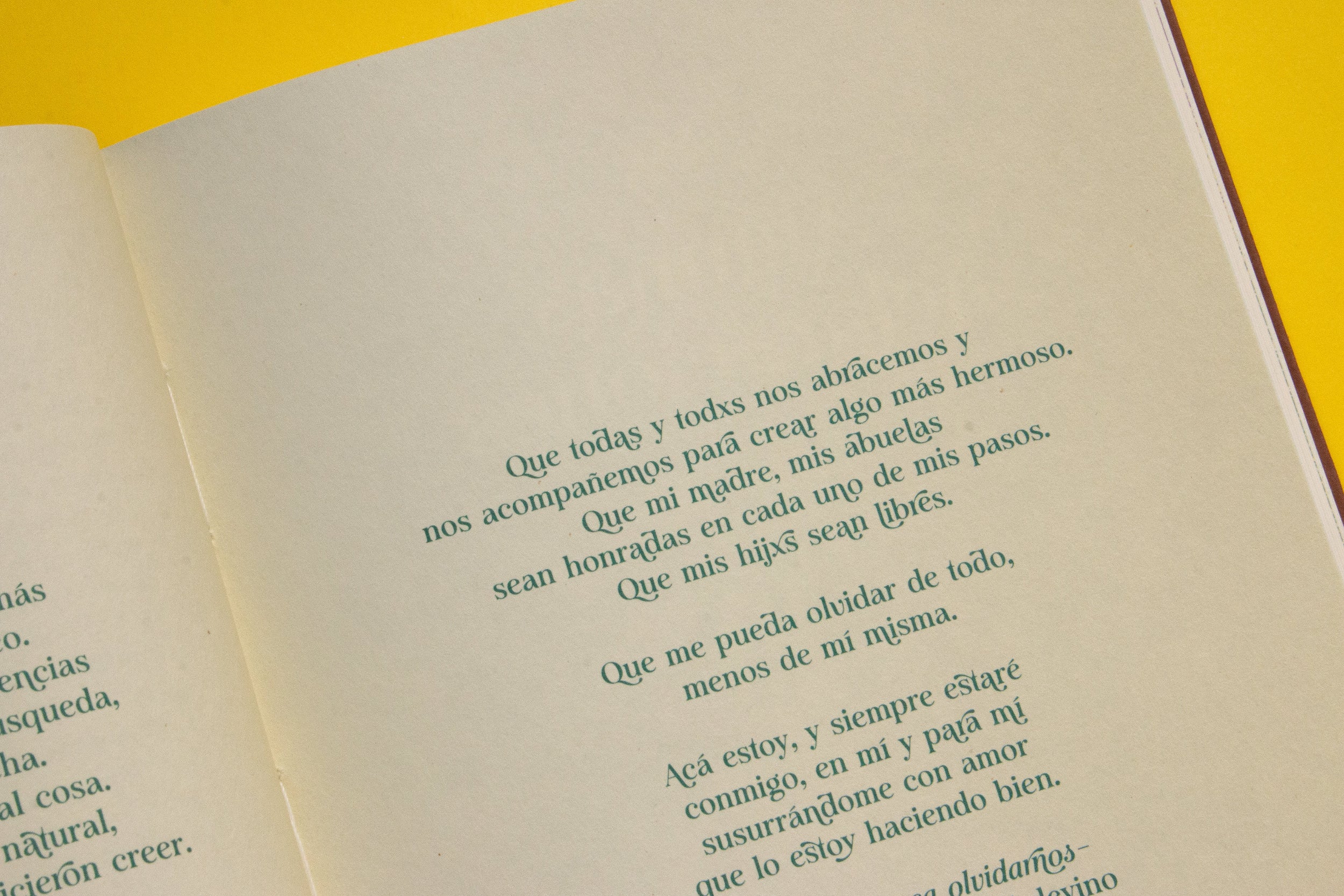 Libro «Curanderas»