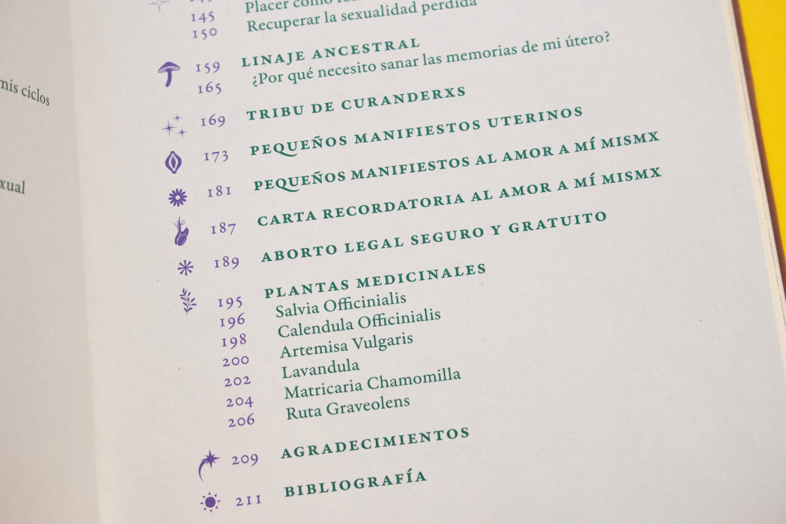 Libro «Curanderas»