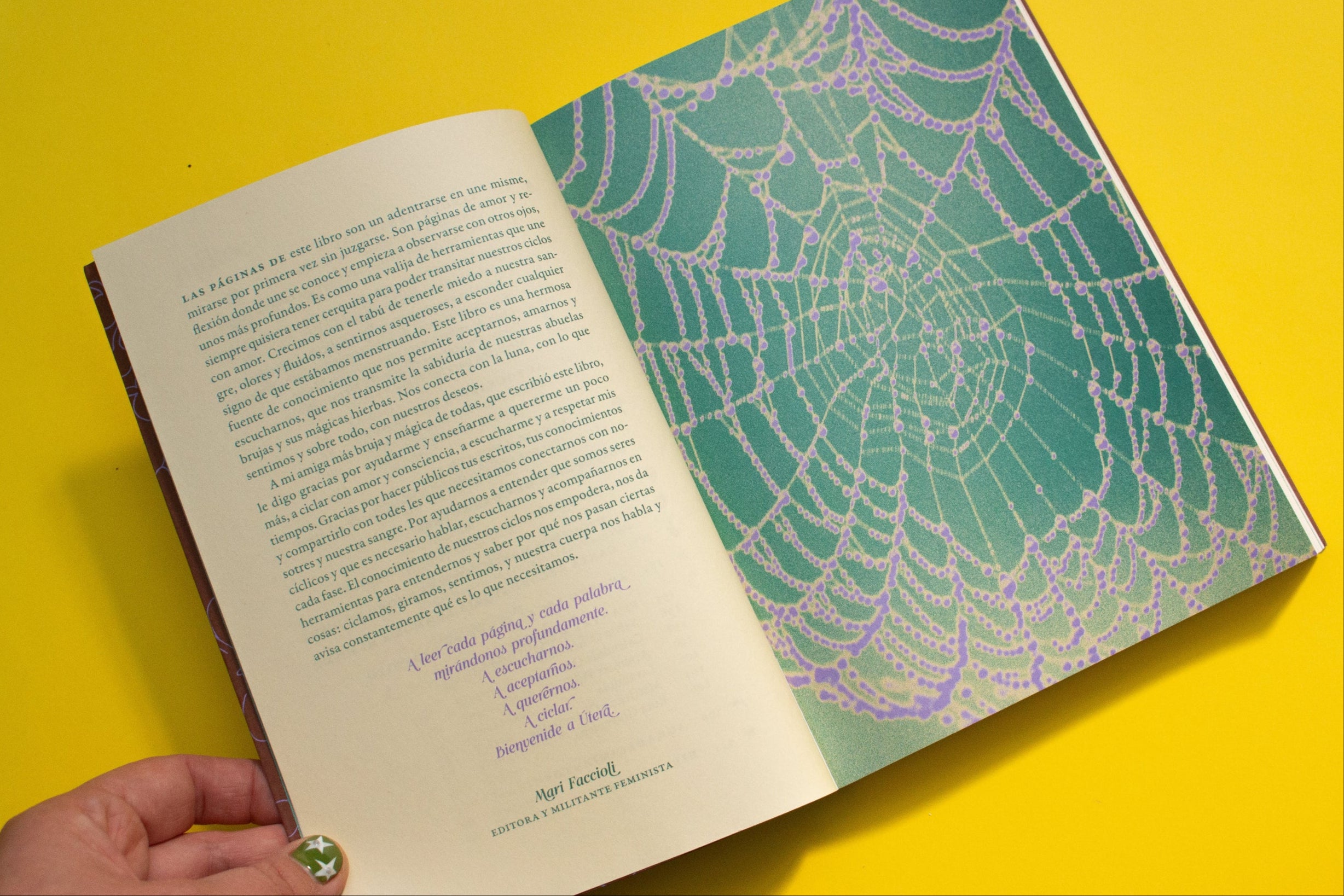 Libro «Curanderas»