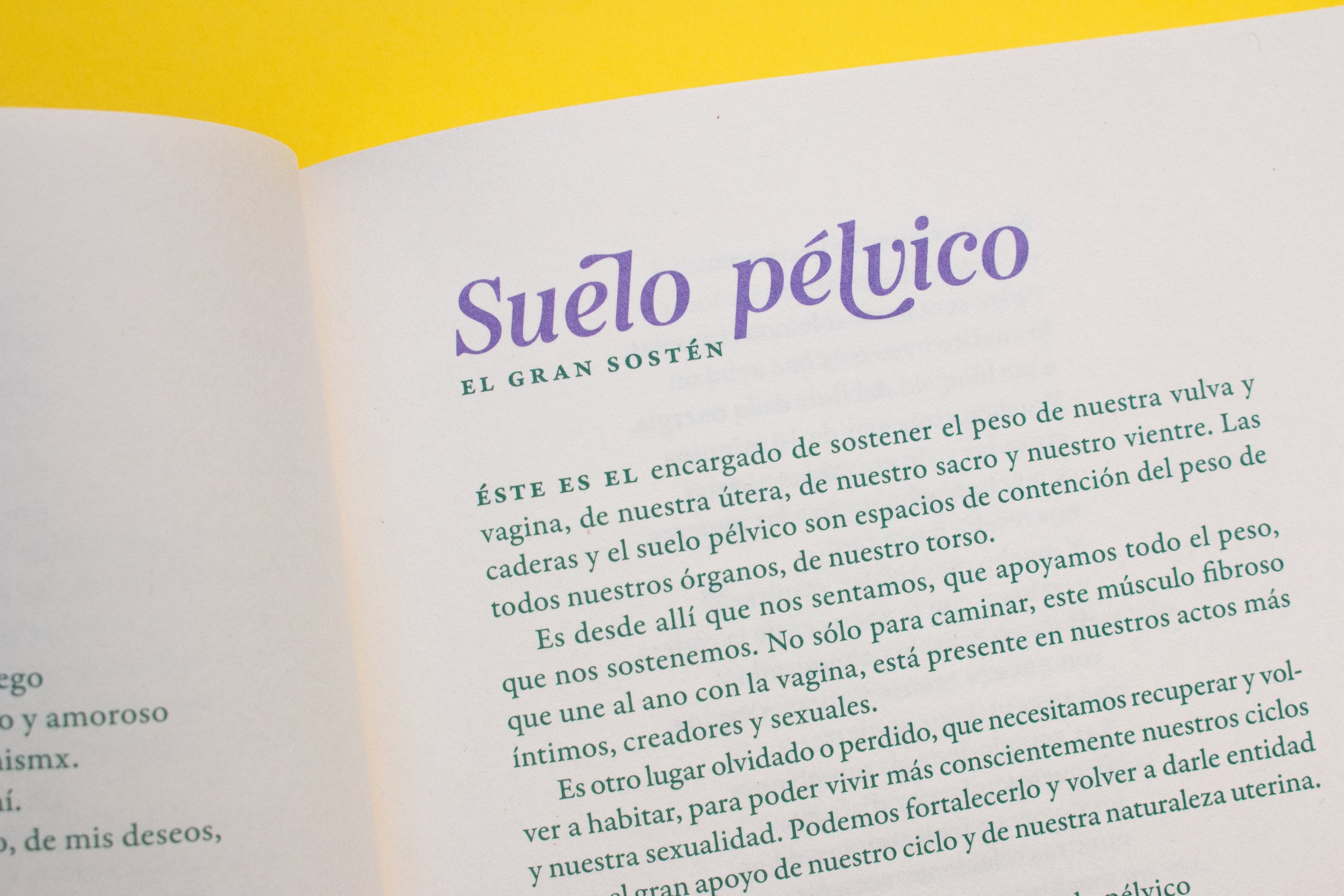 Libro «Curanderas»
