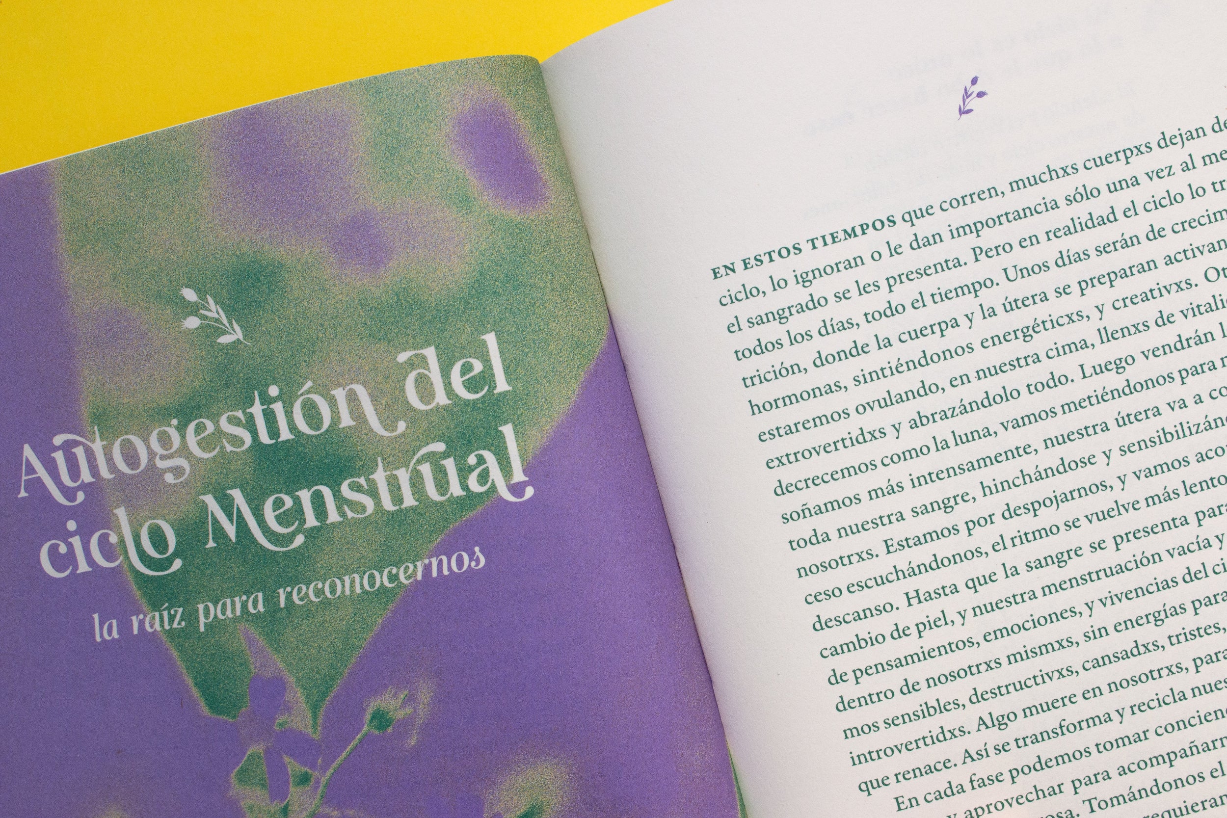 Libro «Curanderas»