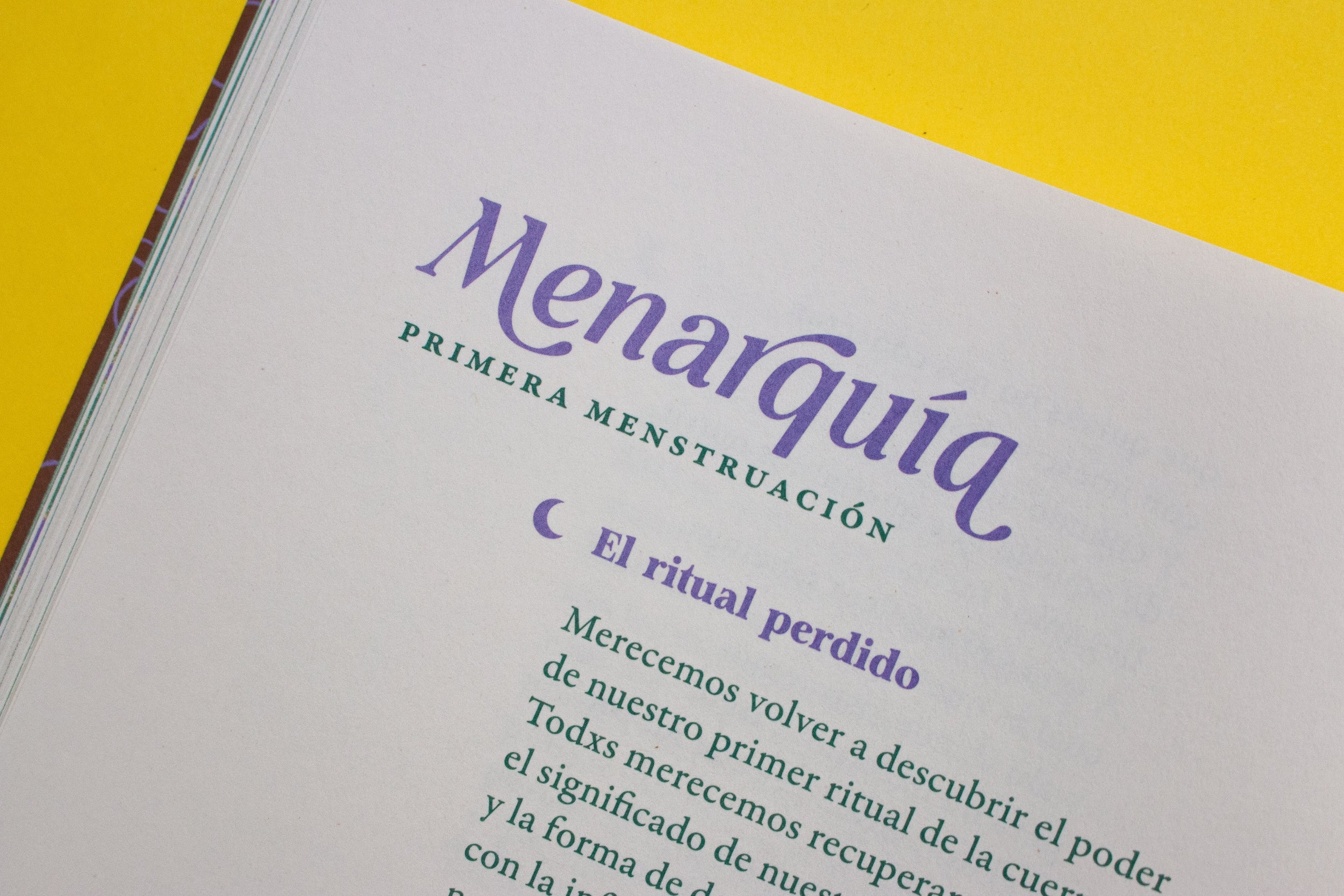 Libro «Curanderas»