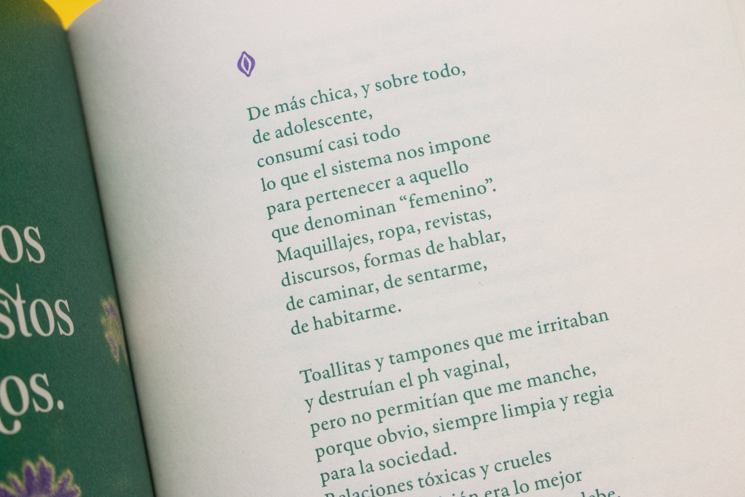 Libro «Curanderas»