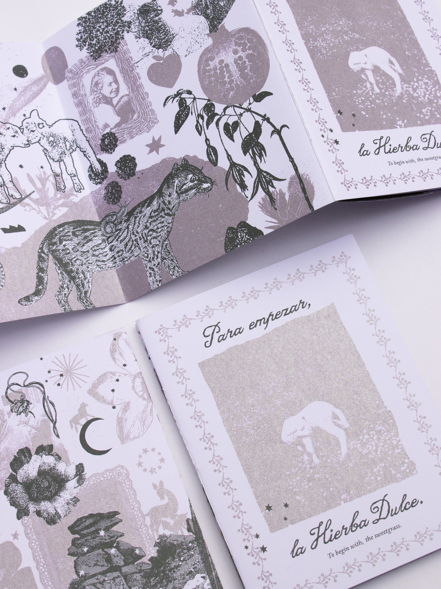 «Para empezar, la hierba dulce» Fanzine