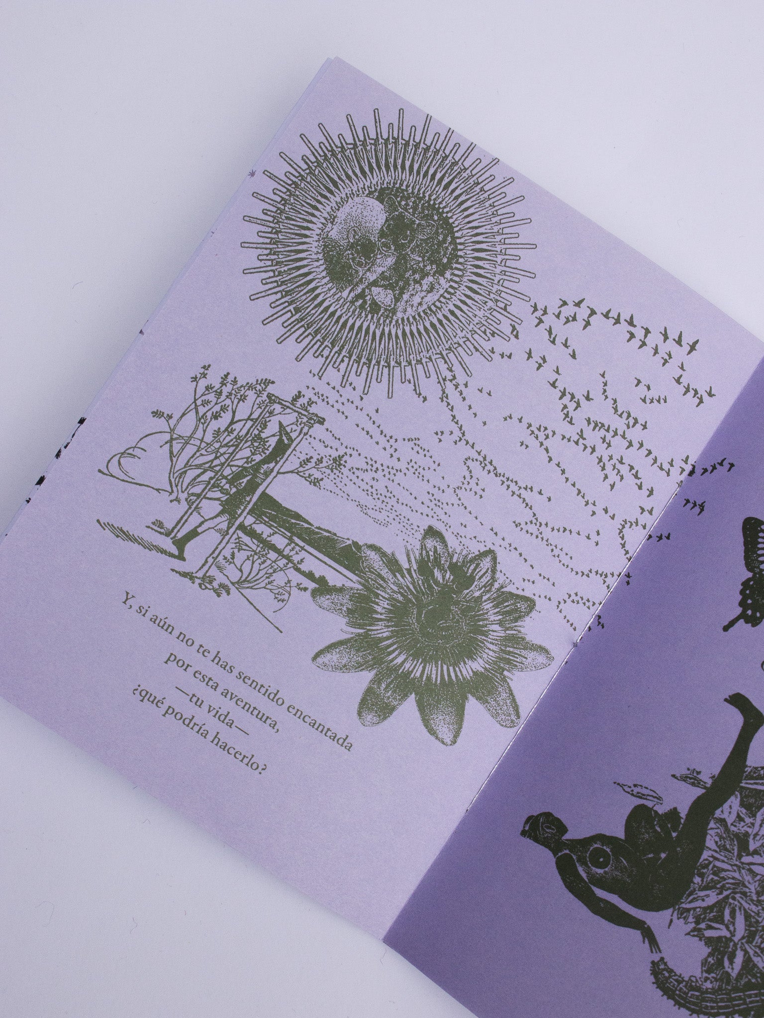 «Para empezar, la hierba dulce» Fanzine
