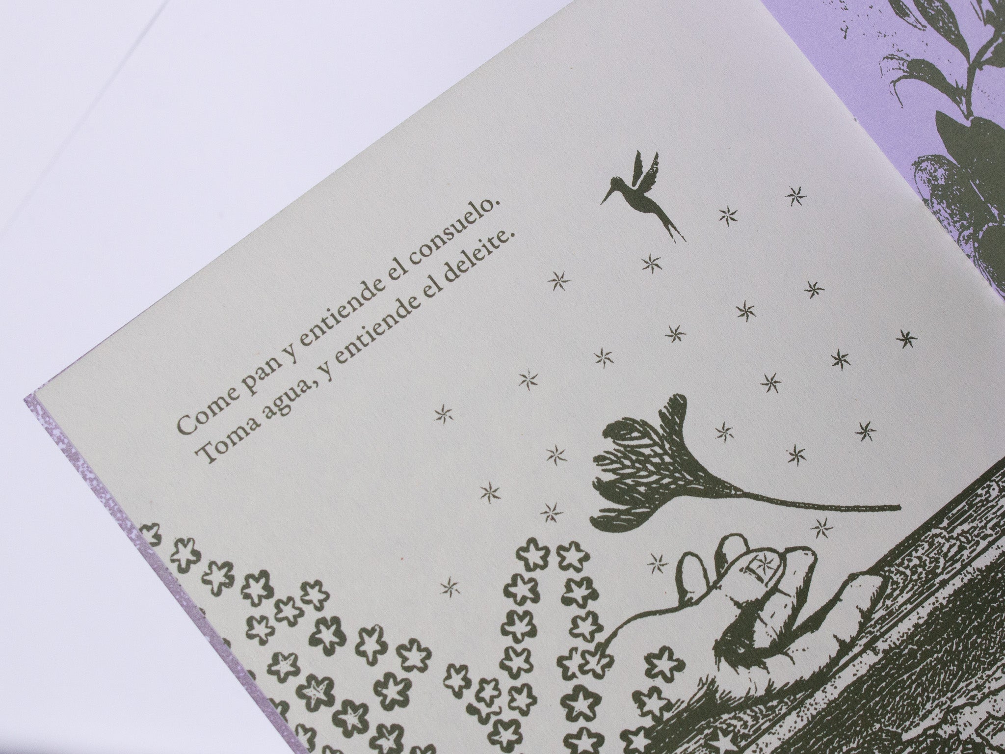 «Para empezar, la hierba dulce» Fanzine