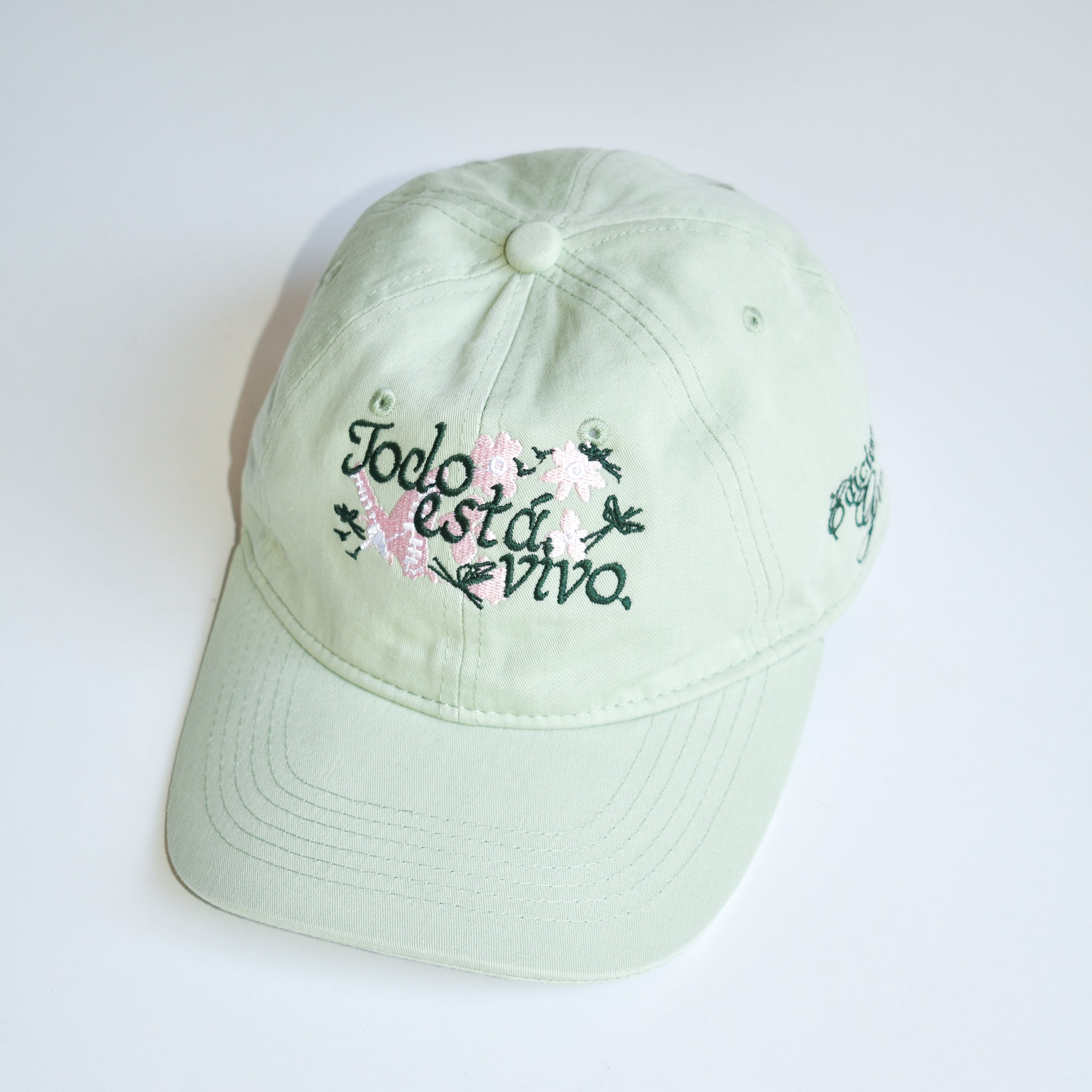 Gorro «Todo está vivo»