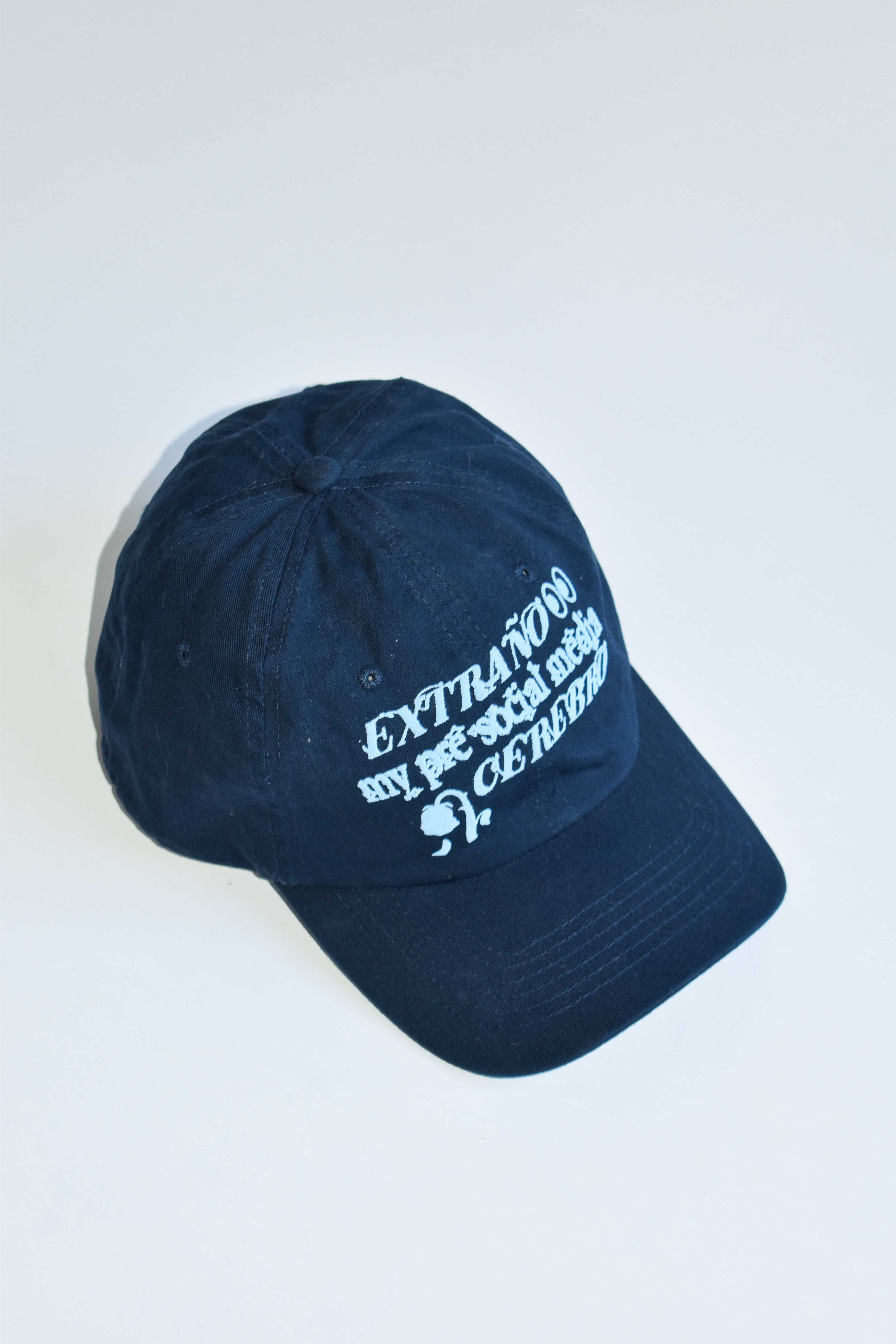 Gorro «Extraño my pre social media cerebro»