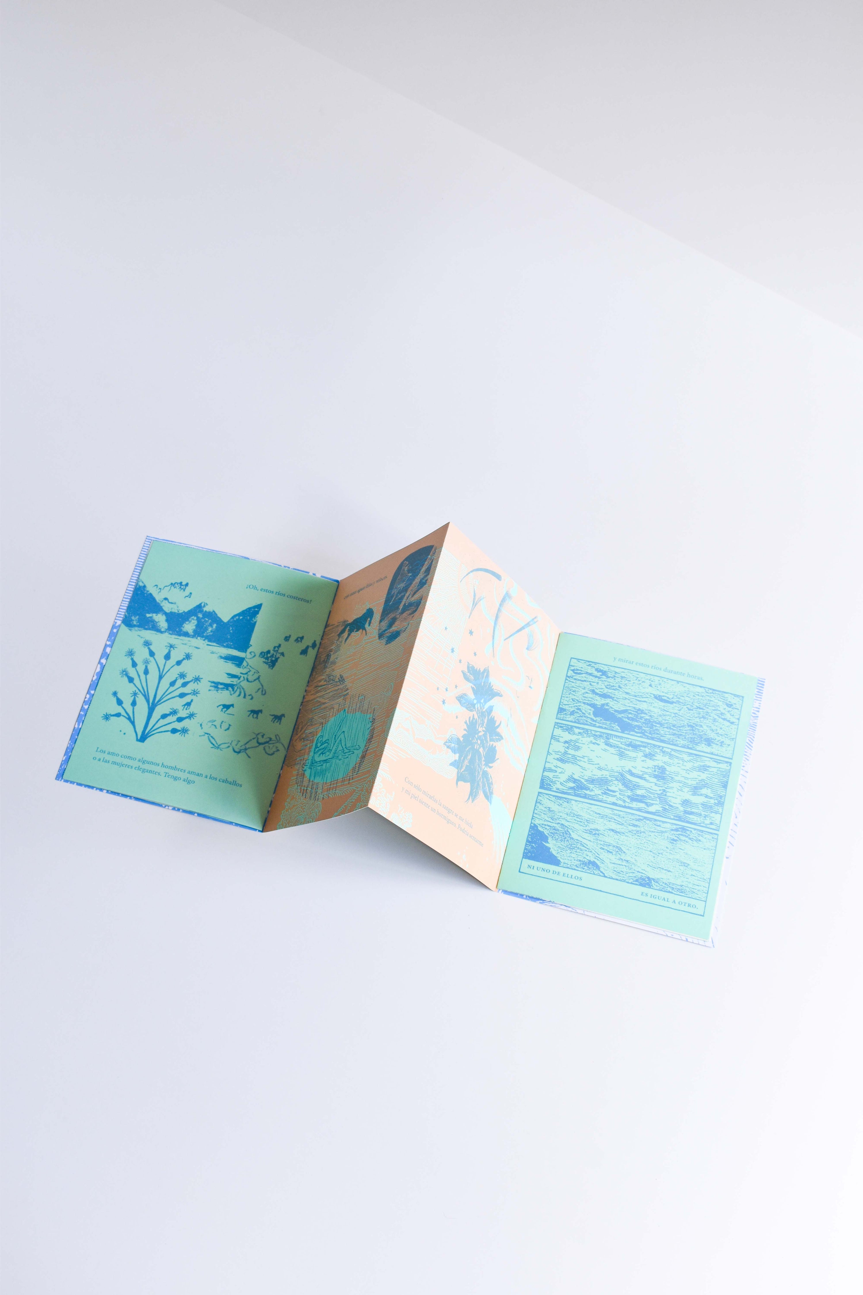 «Donde el agua se une a otras aguas» Fanzine