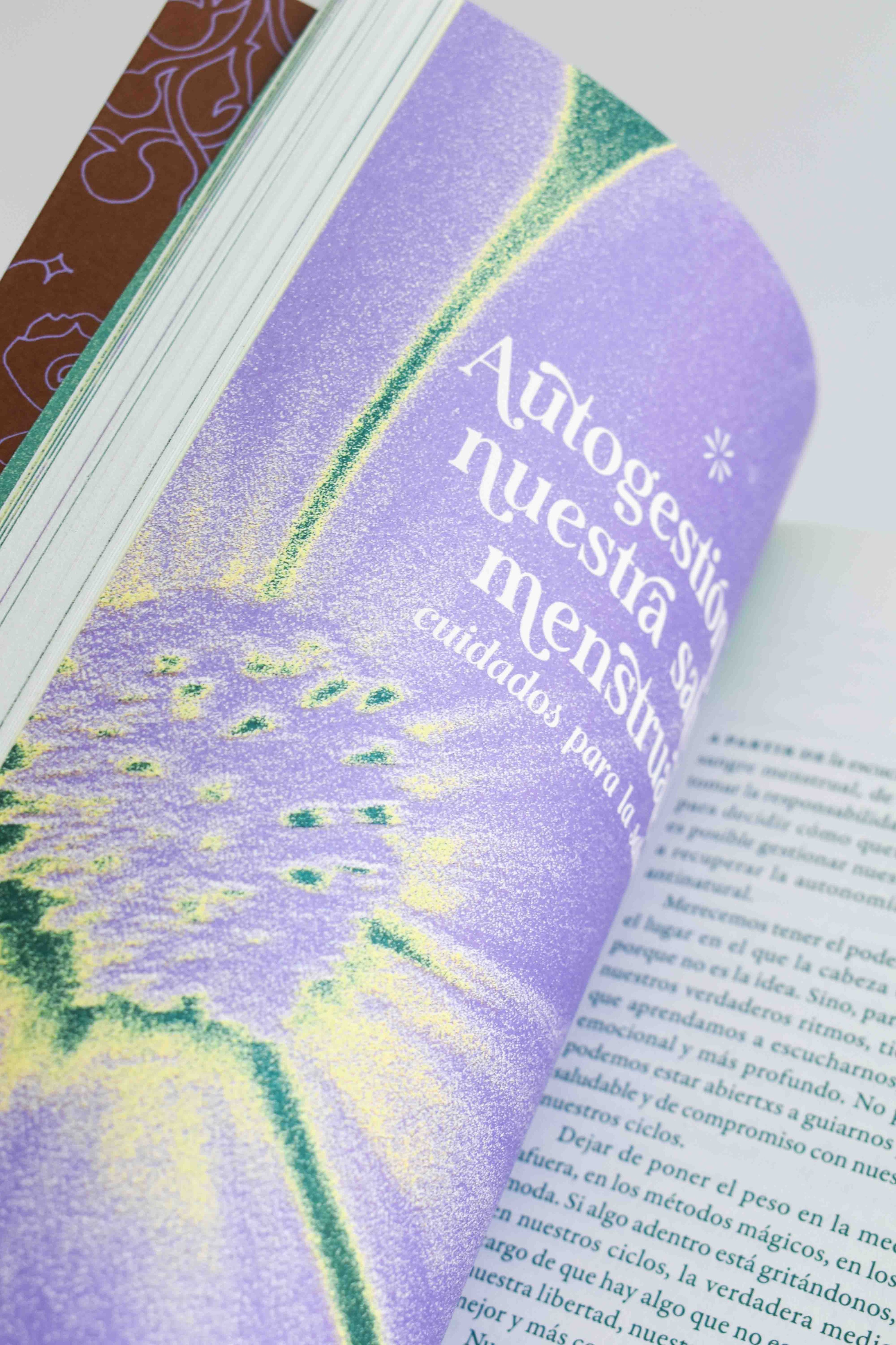Libro «Curanderas»
