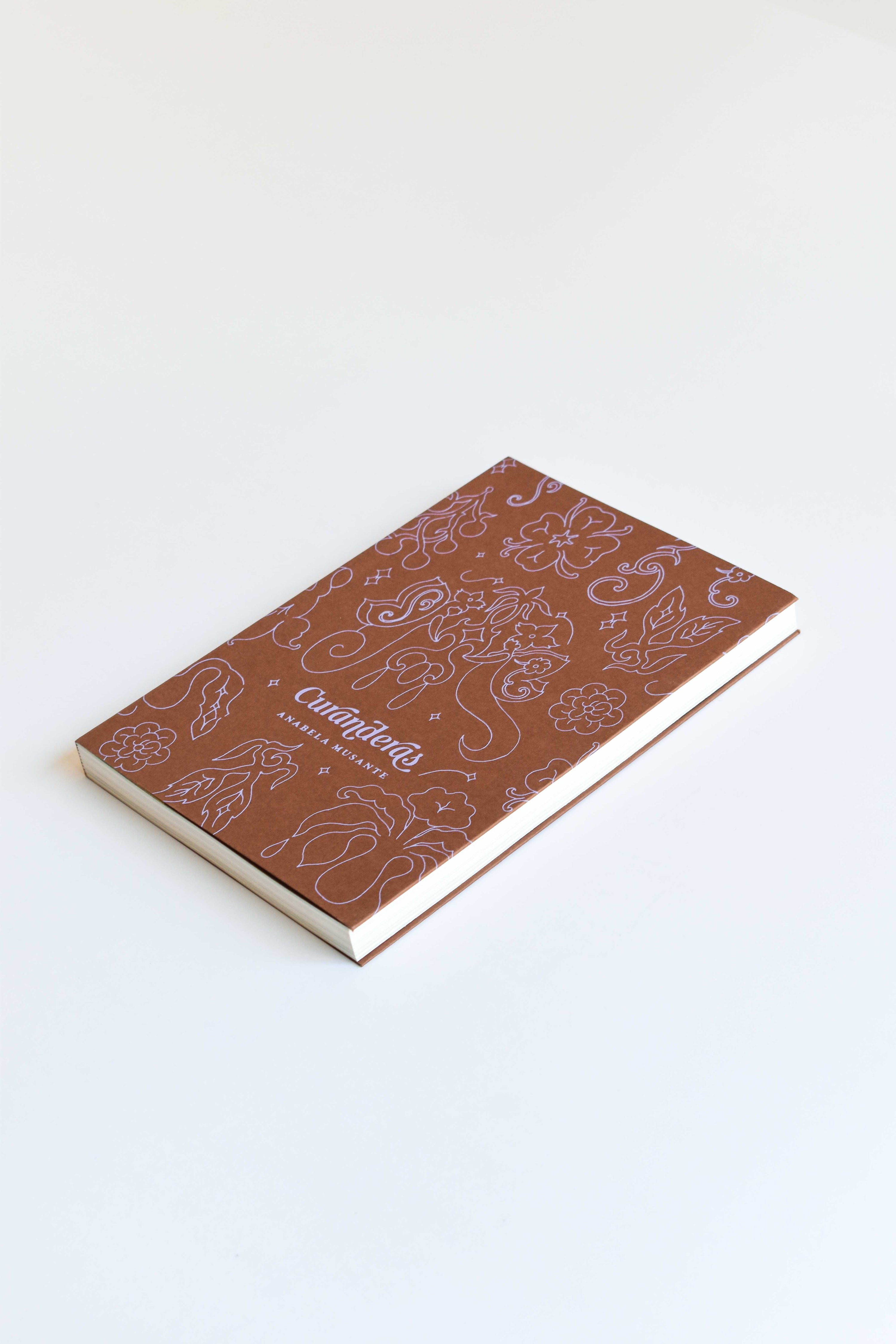Libro «Curanderas»