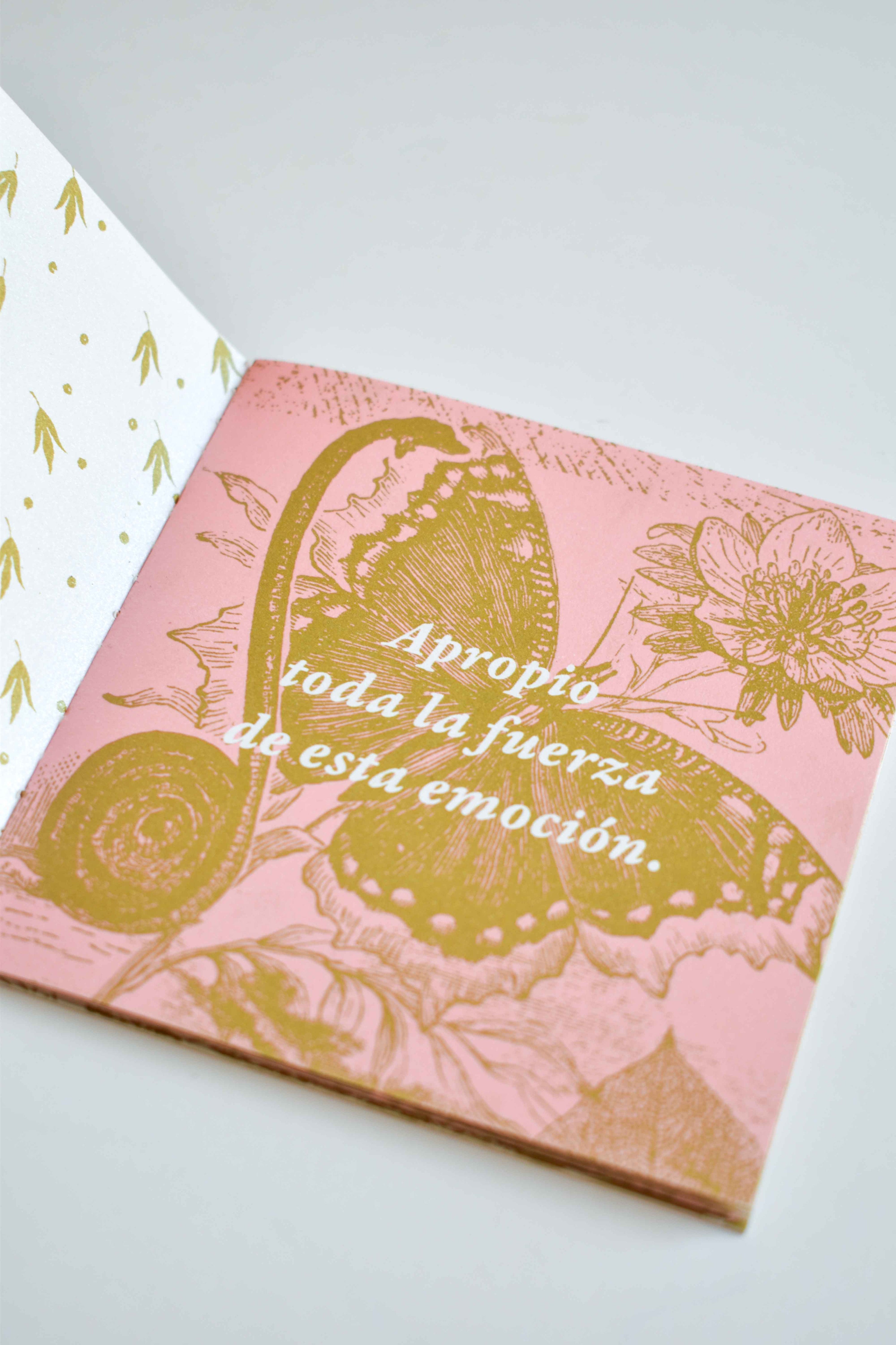 Fanzine «Instrucciones para cargar el dínamo»