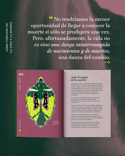 Agenda Lunar del Sur 2025 ~ 2026