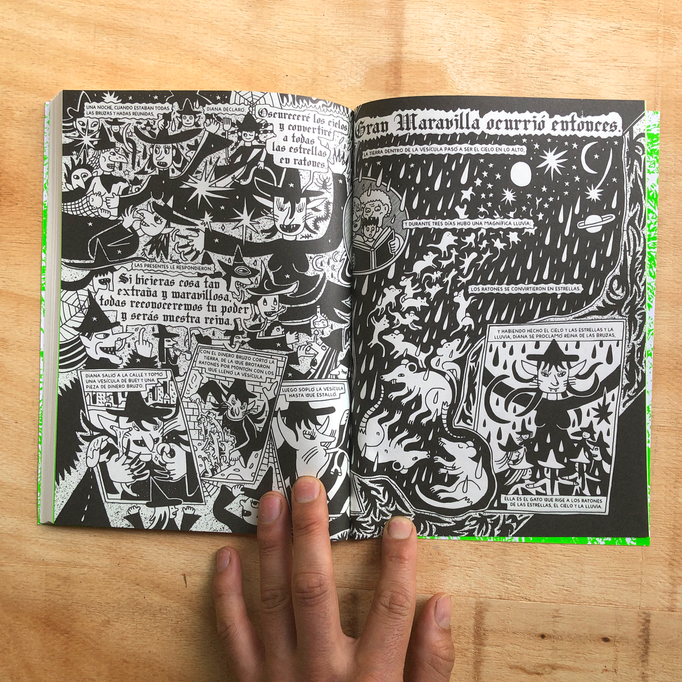 Libro «Común & silvestre 3 "Un asalto a la paltarrealidad"»