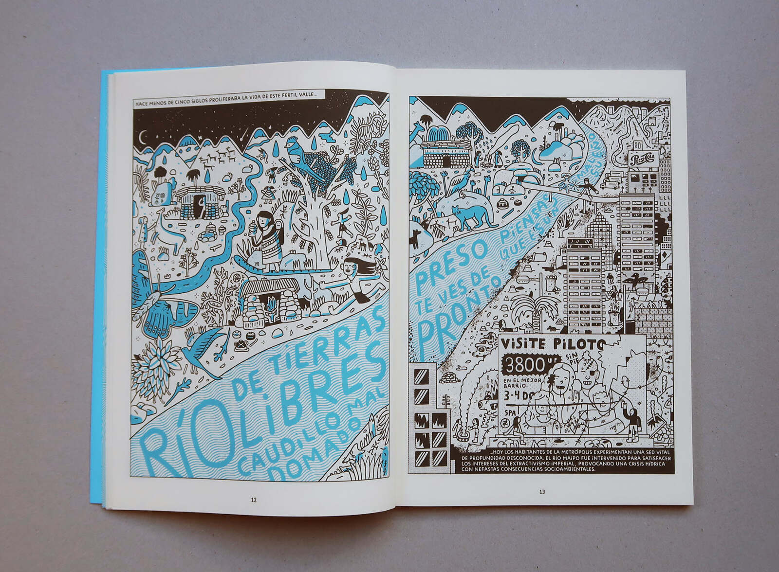 Libro «Común & silvestre 1 "Una luz al principio del túnel"»