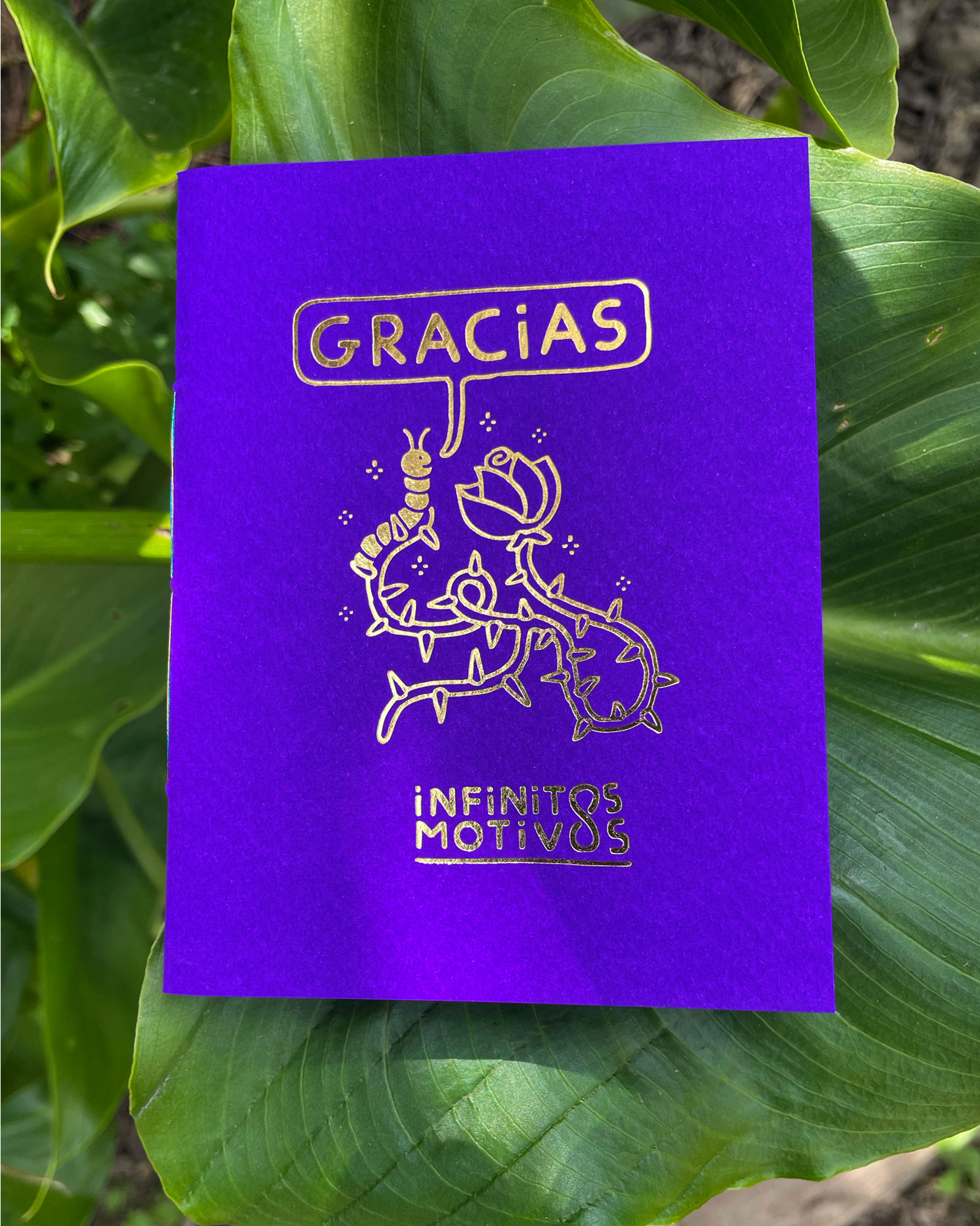 Libreta «Motivos para dar Gracias»