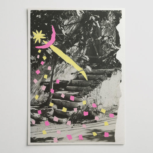 Destello bajo la higuera