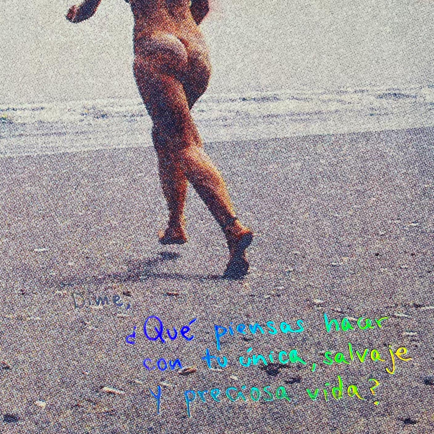«¿Qué piensas hacer con tu única, salvaje y preciosa vida?» Risografía