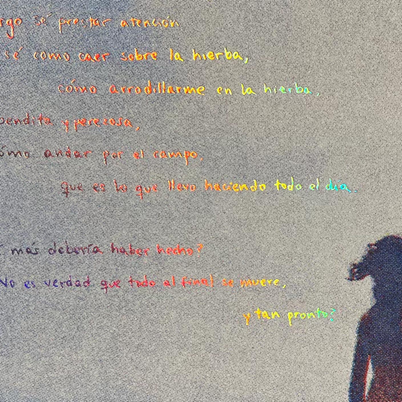 «¿Qué piensas hacer con tu única, salvaje y preciosa vida?» Risografía
