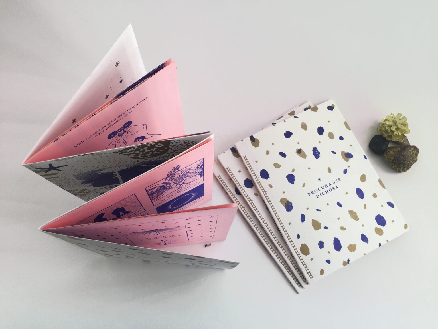 Fanzine «Procura ser dichosa»