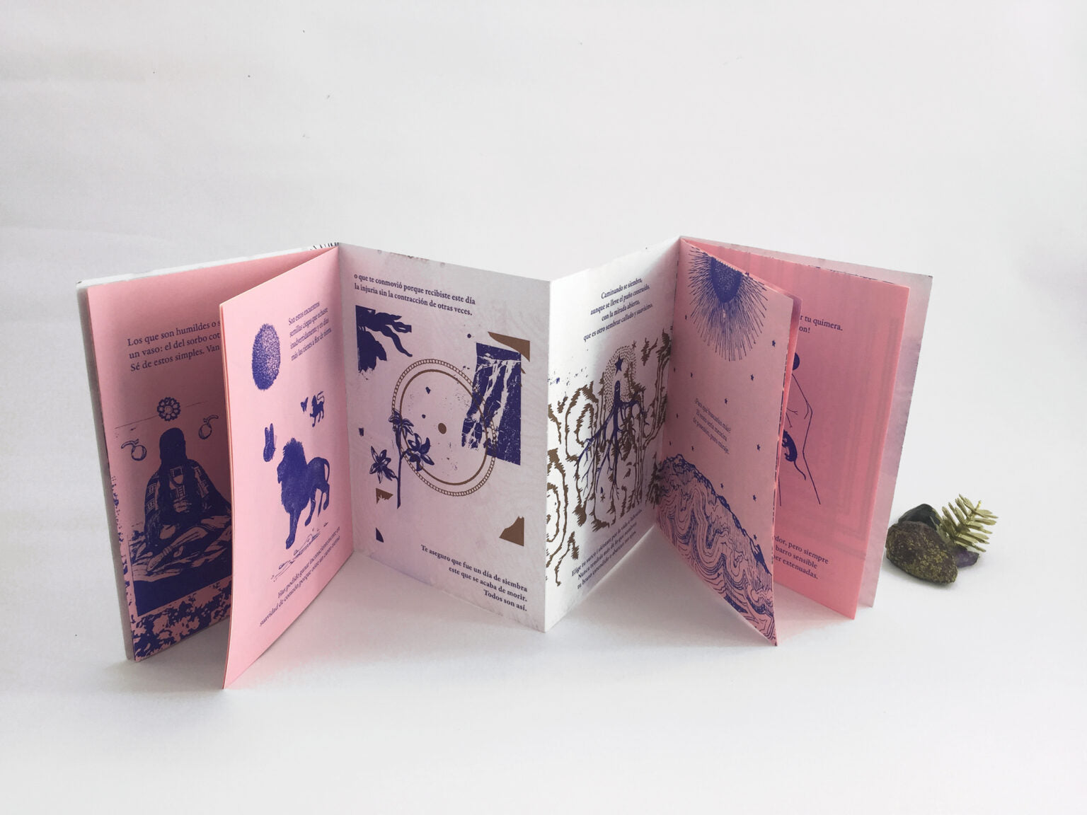 Fanzine «Procura ser dichosa»