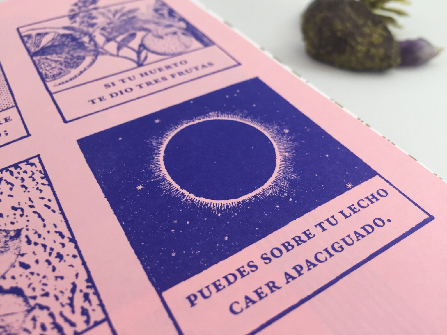 Fanzine «Procura ser dichosa»
