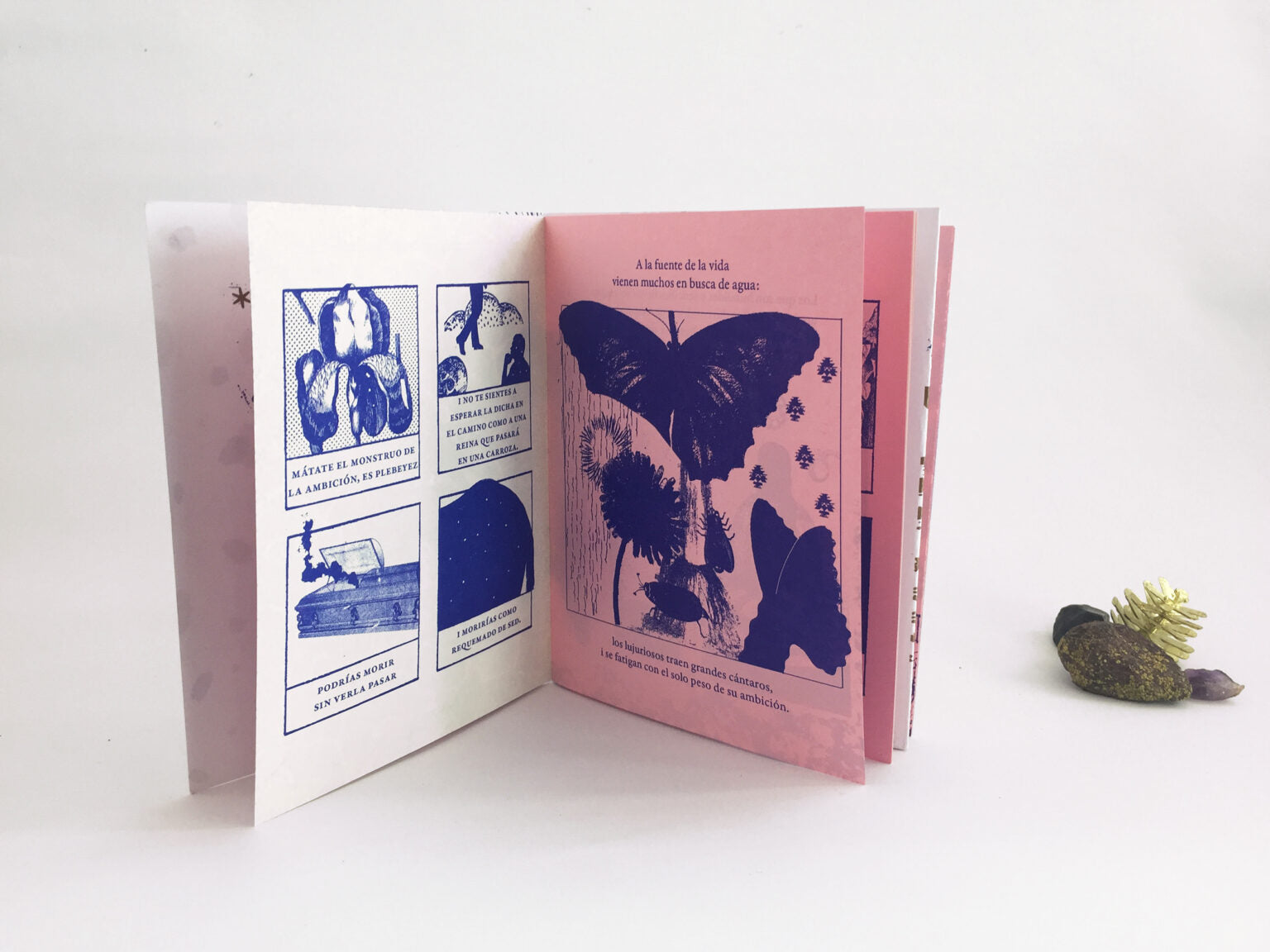 Fanzine «Procura ser dichosa»