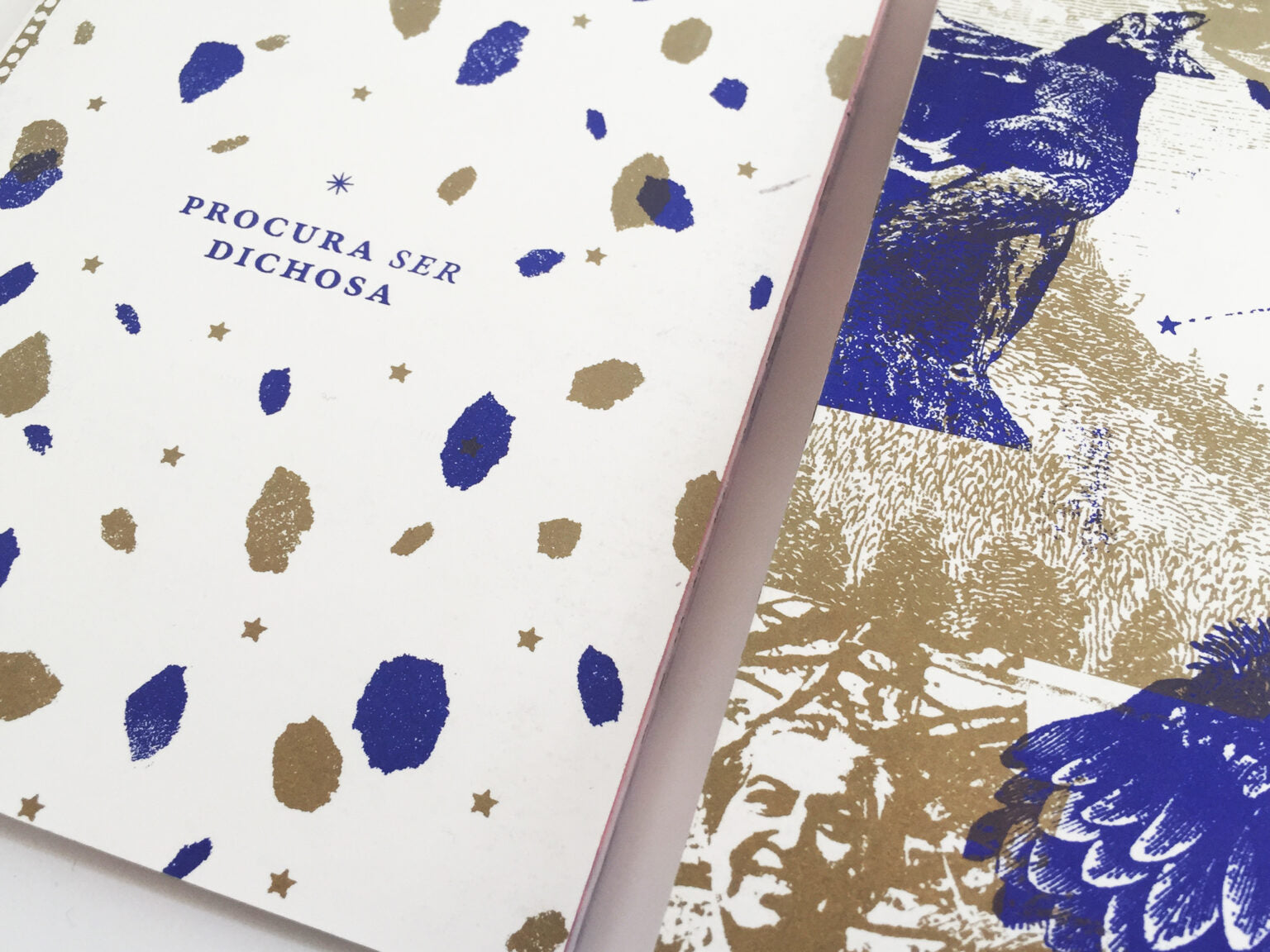 Fanzine «Procura ser dichosa»