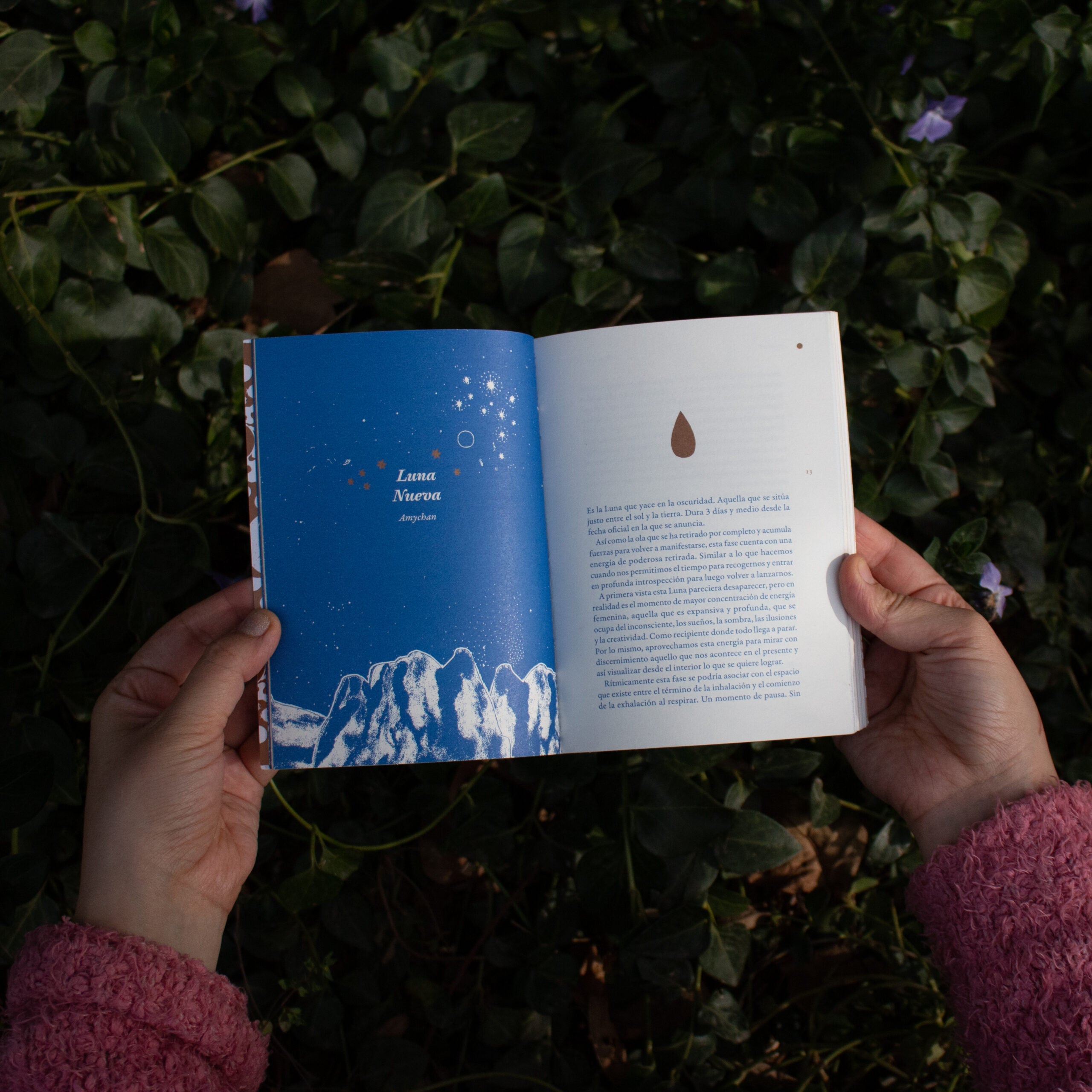 Libro «Influjo lunar»