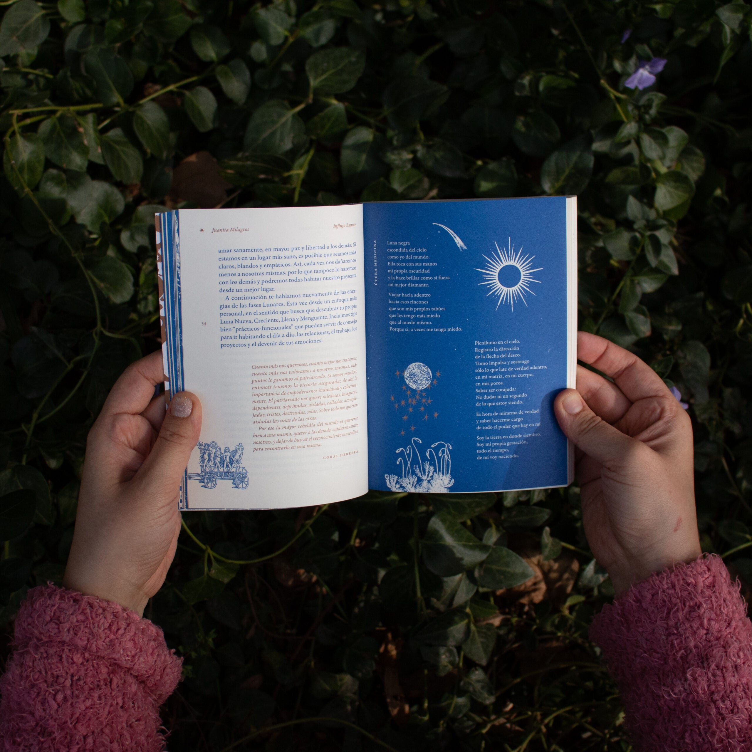 Libro «Influjo lunar»