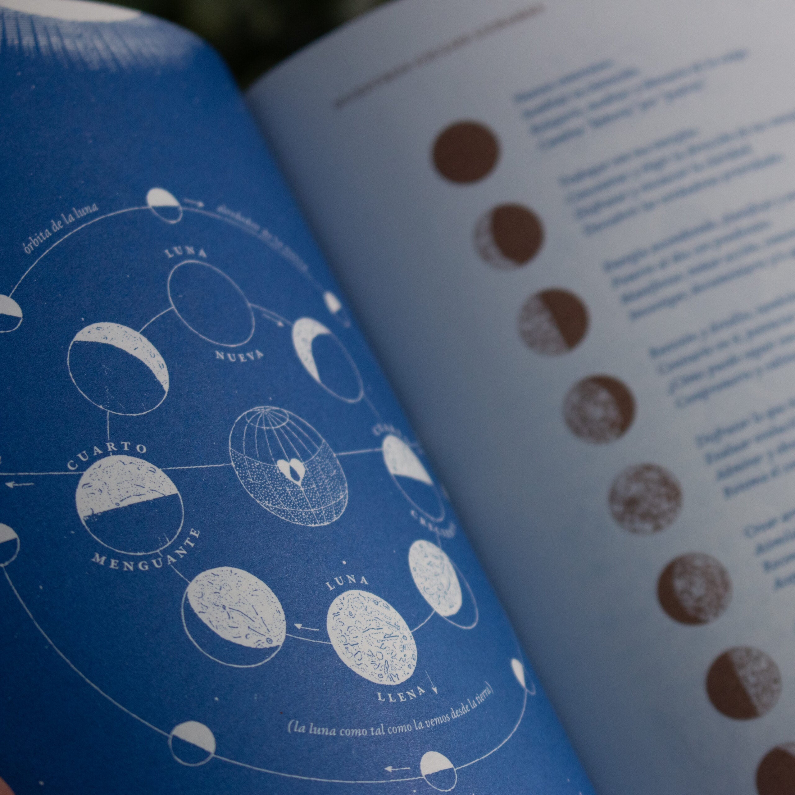 Libro «Influjo lunar»