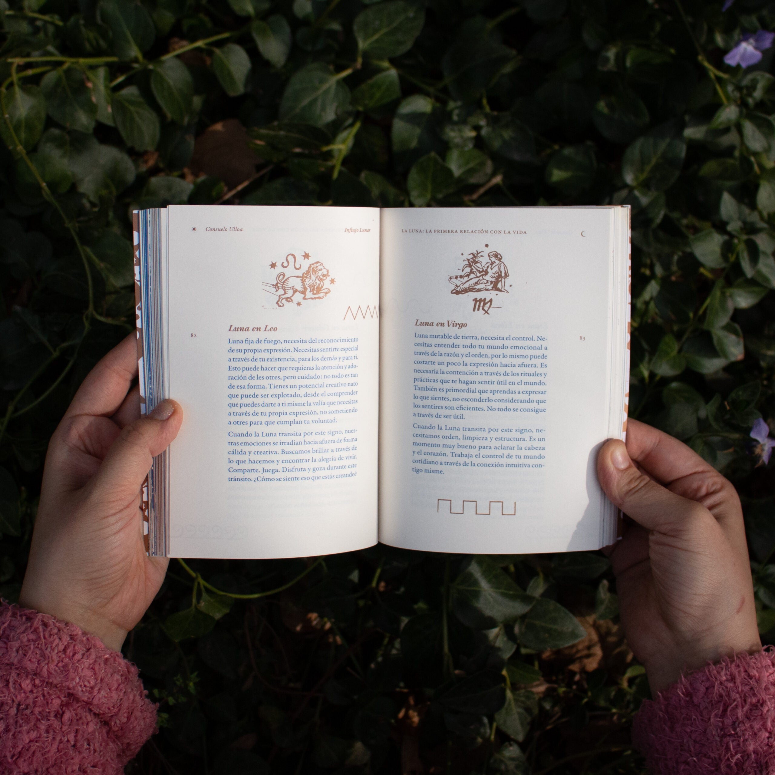 Libro «Influjo lunar»