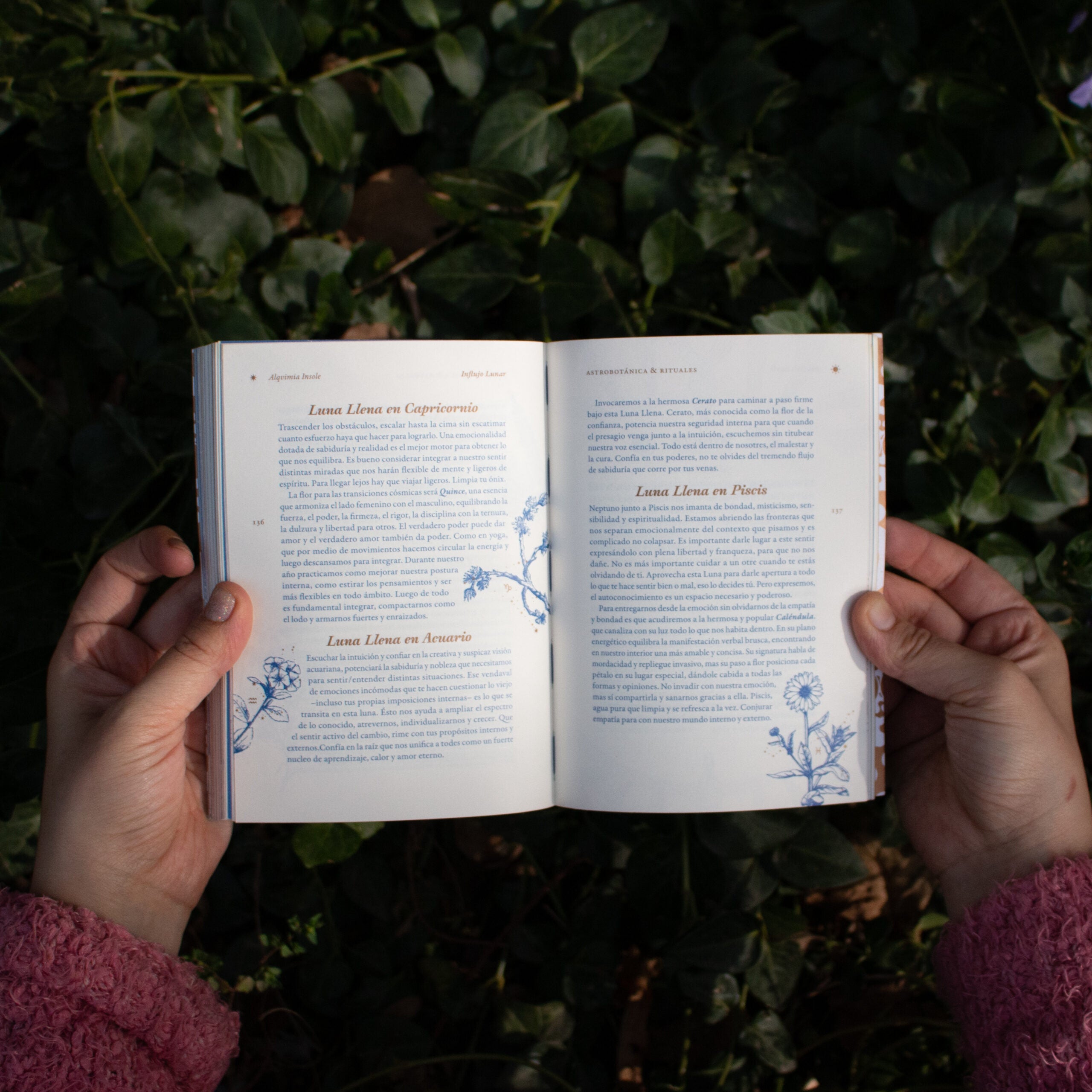 Libro «Influjo lunar»