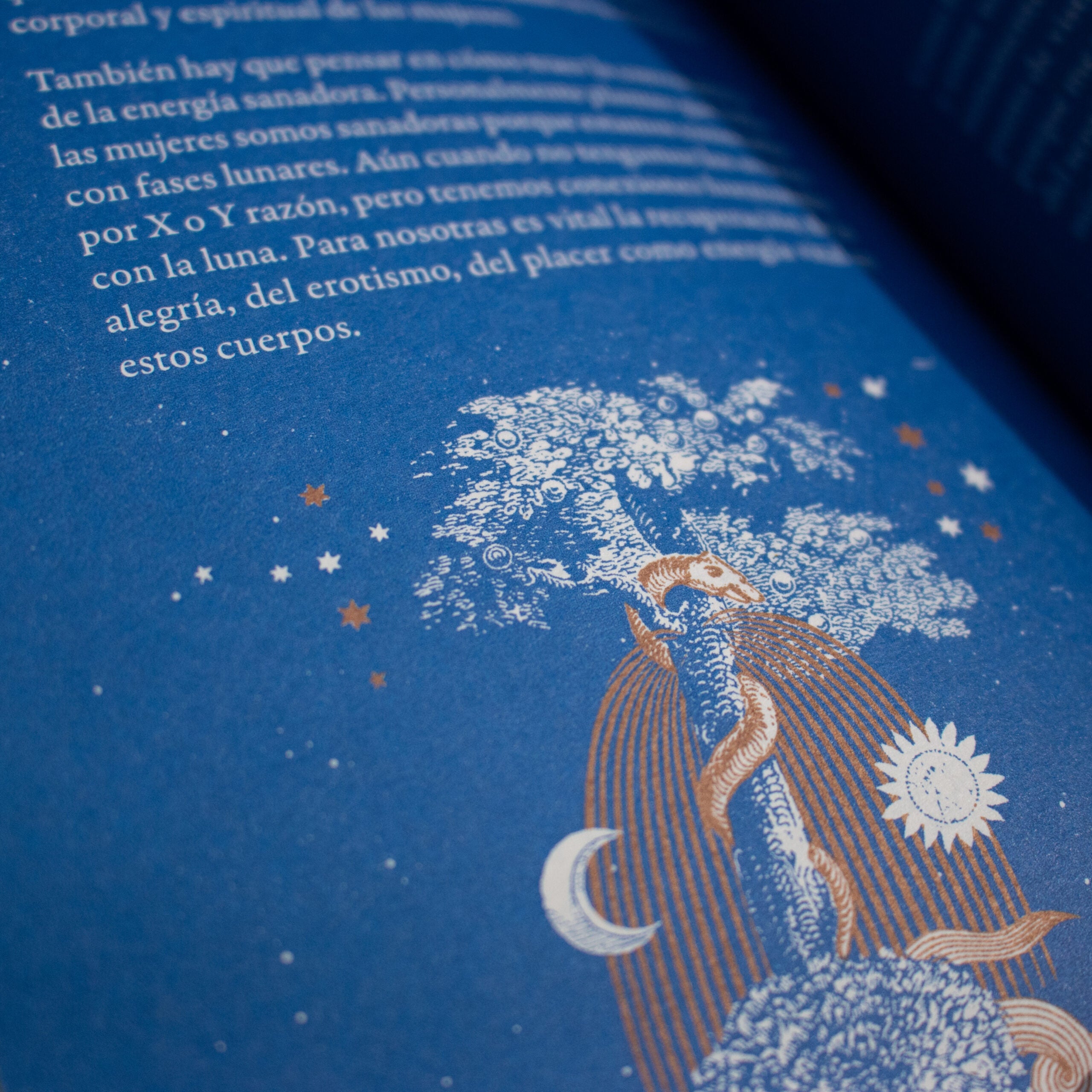 Libro «Influjo lunar»