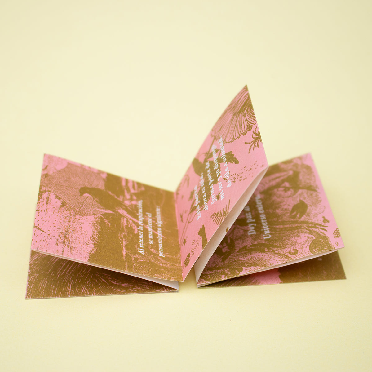Fanzine «Instrucciones para cargar el dínamo»
