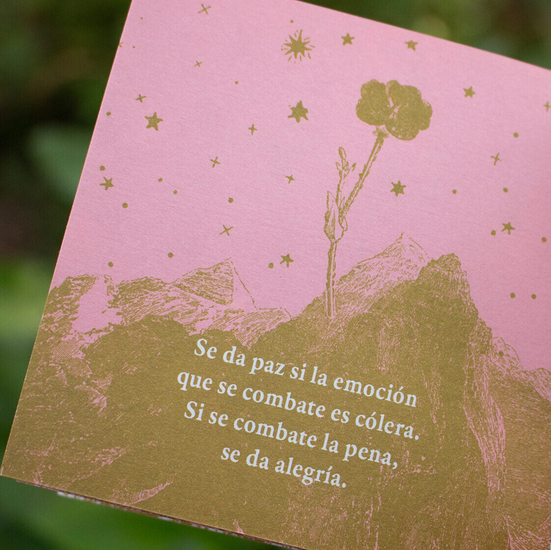 Fanzine «Instrucciones para cargar el dínamo»