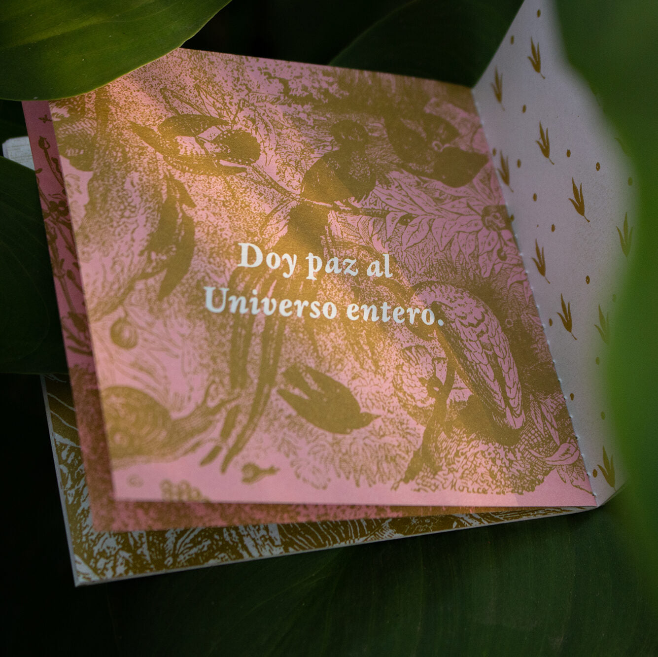 Fanzine «Instrucciones para cargar el dínamo»